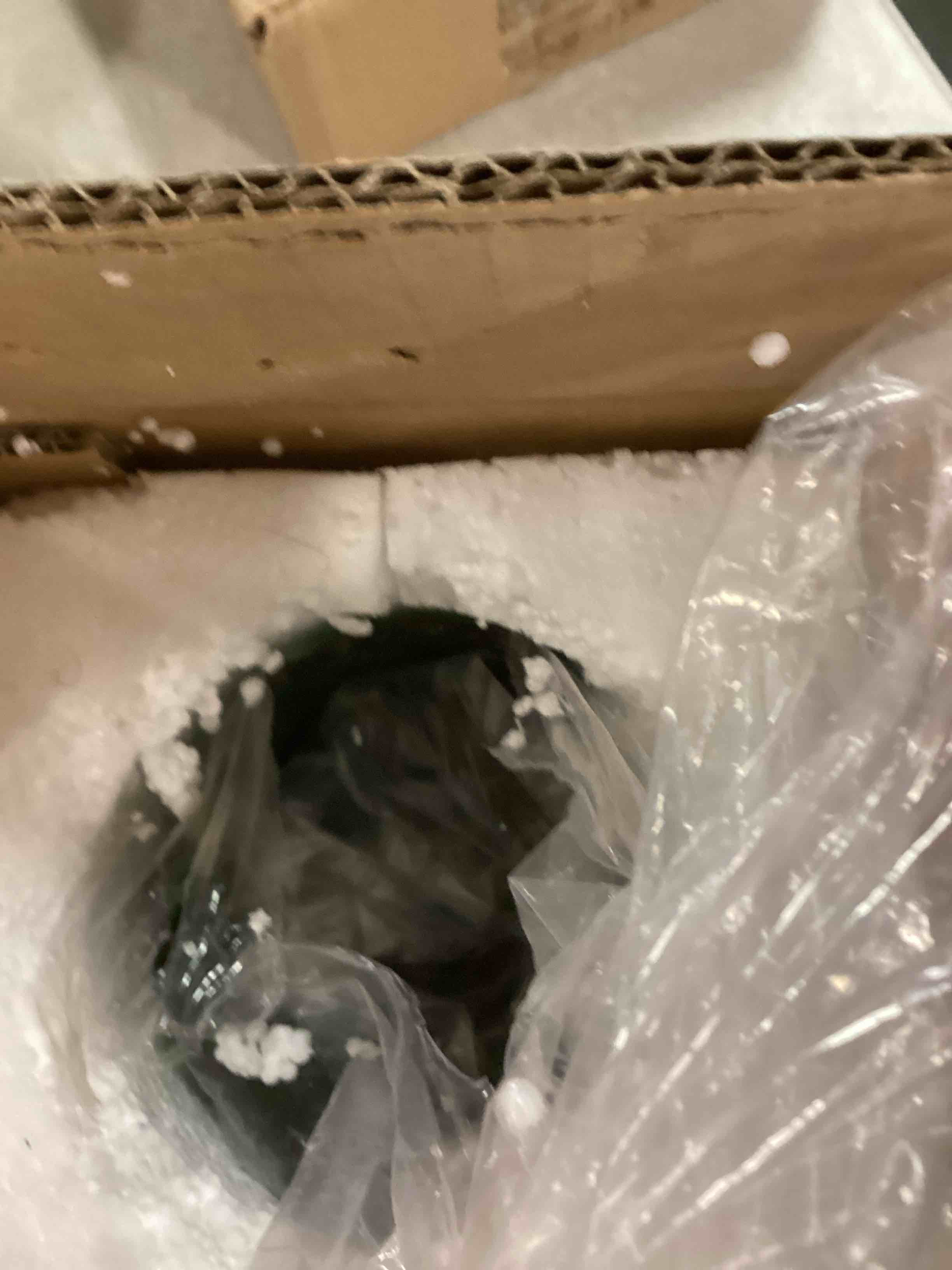 https://s3.amazonaws.com/lotting-images-prod/bidfta/PPE0346771_1732249451852.jpeg