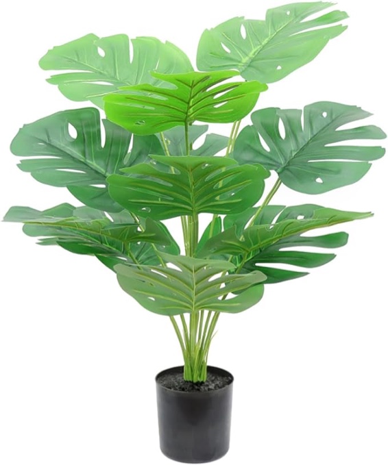 $16.38 FREE delivery December 4 - 26. Details Or fastest delivery November 18 - 21. Details Delivering to Cleveland 44135 - Update location In Stock Quantity: Quantity:1 Add to Cart Buy Now Ships from EnShiShiYaoShiHuLianWangYouXianGongSi Sold by EnShiShiYaoShiHuLianWangYouXianGongSi Returns Returnable until Jan 31, 2025 Payment Secure transaction Add to List NewGtuizi Fake Plants 23.6'' Tall Artificial Monstera Plant in Pots, Artificial Plants Indoor with 12 Leaves, Faux Potted Plants for Bathroom, Office, Windowsill Decor Roll over image to zoom in Fake Plants 23.6'' Tall Artificial Monstera Plant in Pots, Artificial Plants Indoor with 12 Leaves, Faux Potted Plants for Bathroom, Office, Windowsill Decor