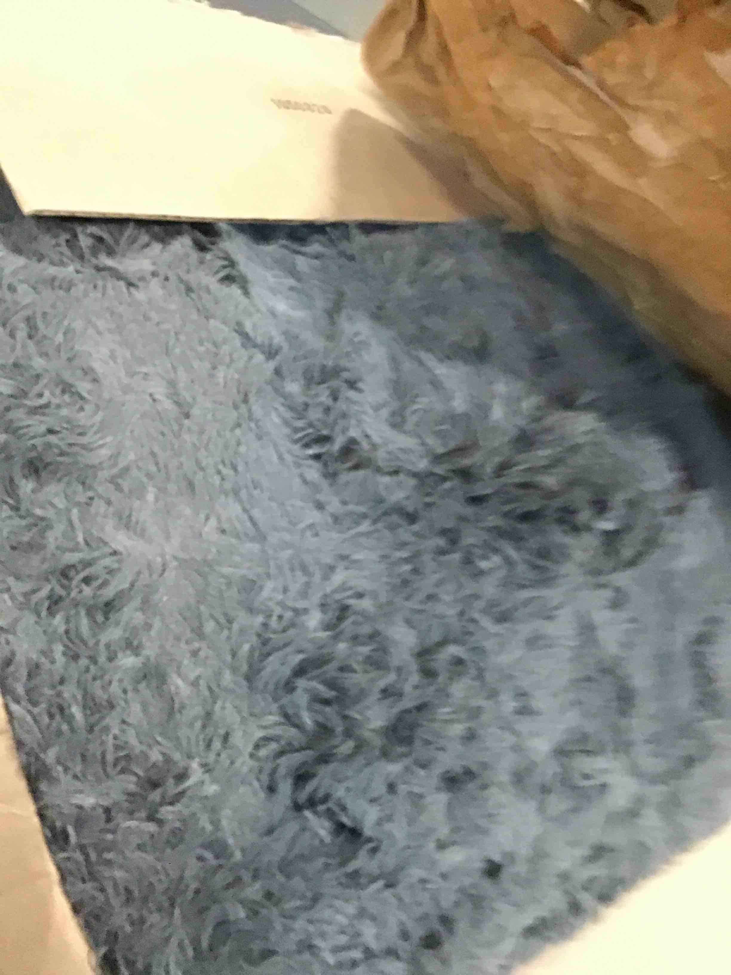 https://s3.amazonaws.com/lotting-images-prod/bidfta/PPE0351474_1728040428204.jpeg