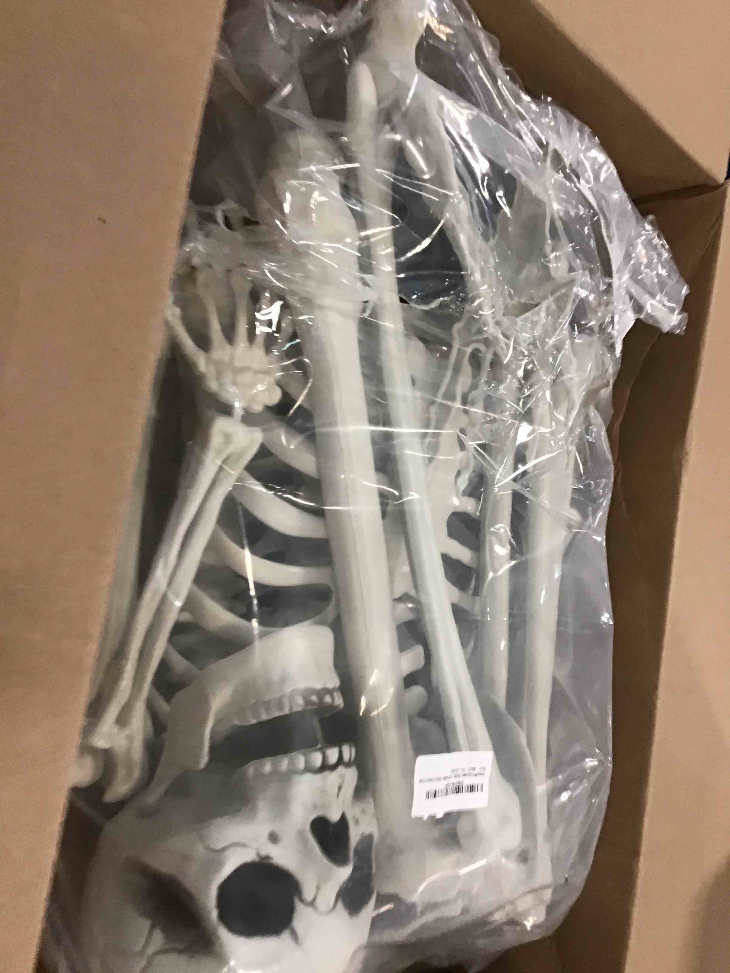 https://s3.amazonaws.com/lotting-images-prod/bidfta/PPE0351873_1727962484934.jpeg