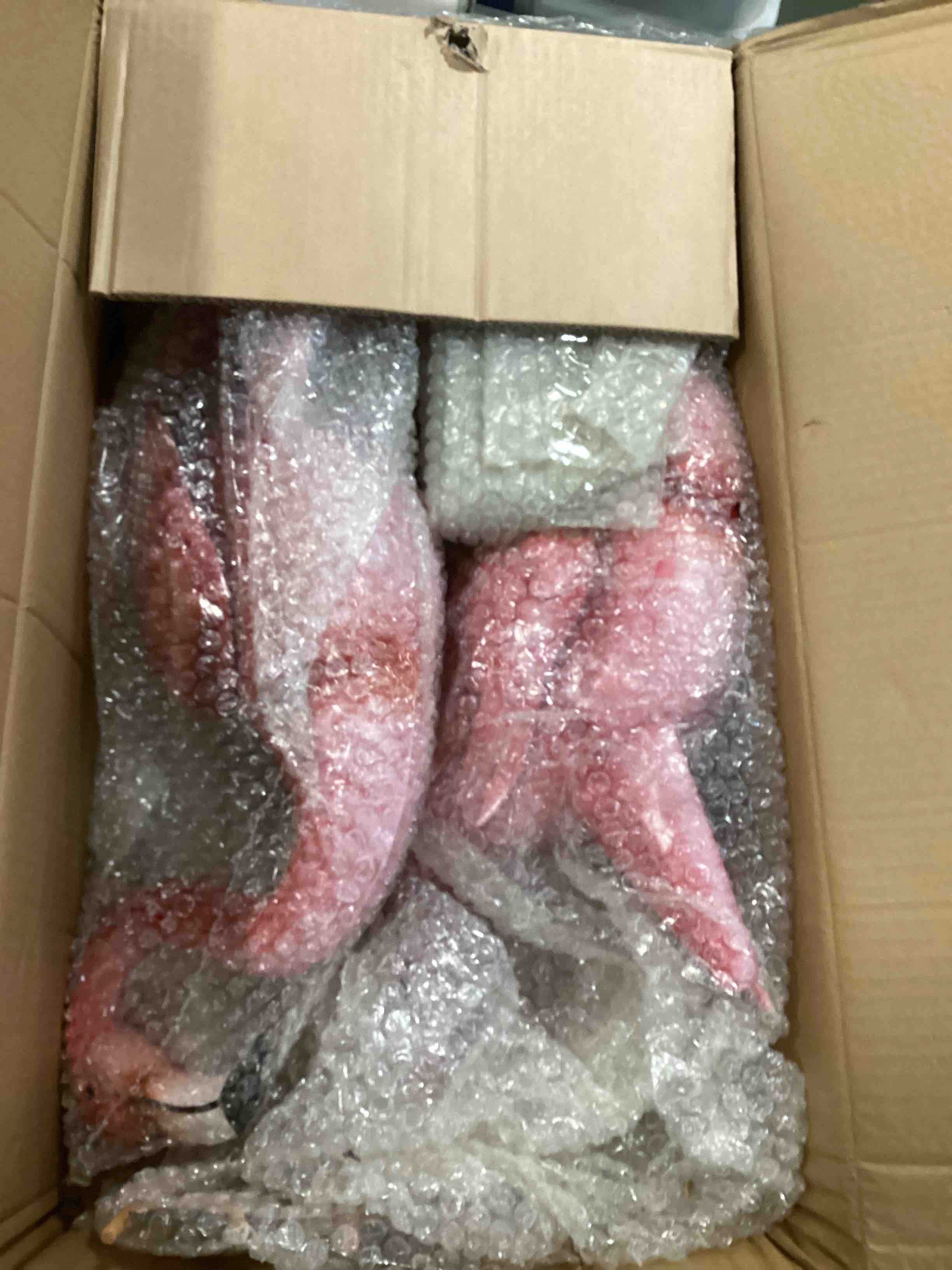 https://s3.amazonaws.com/lotting-images-prod/bidfta/PPE0352053_1728740575143.jpeg
