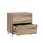 Roseanna 2-Drawer Lateral Filing Cabinet