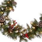 National Tree Company 9ft. Frosted Berry Garland with Clear Lights