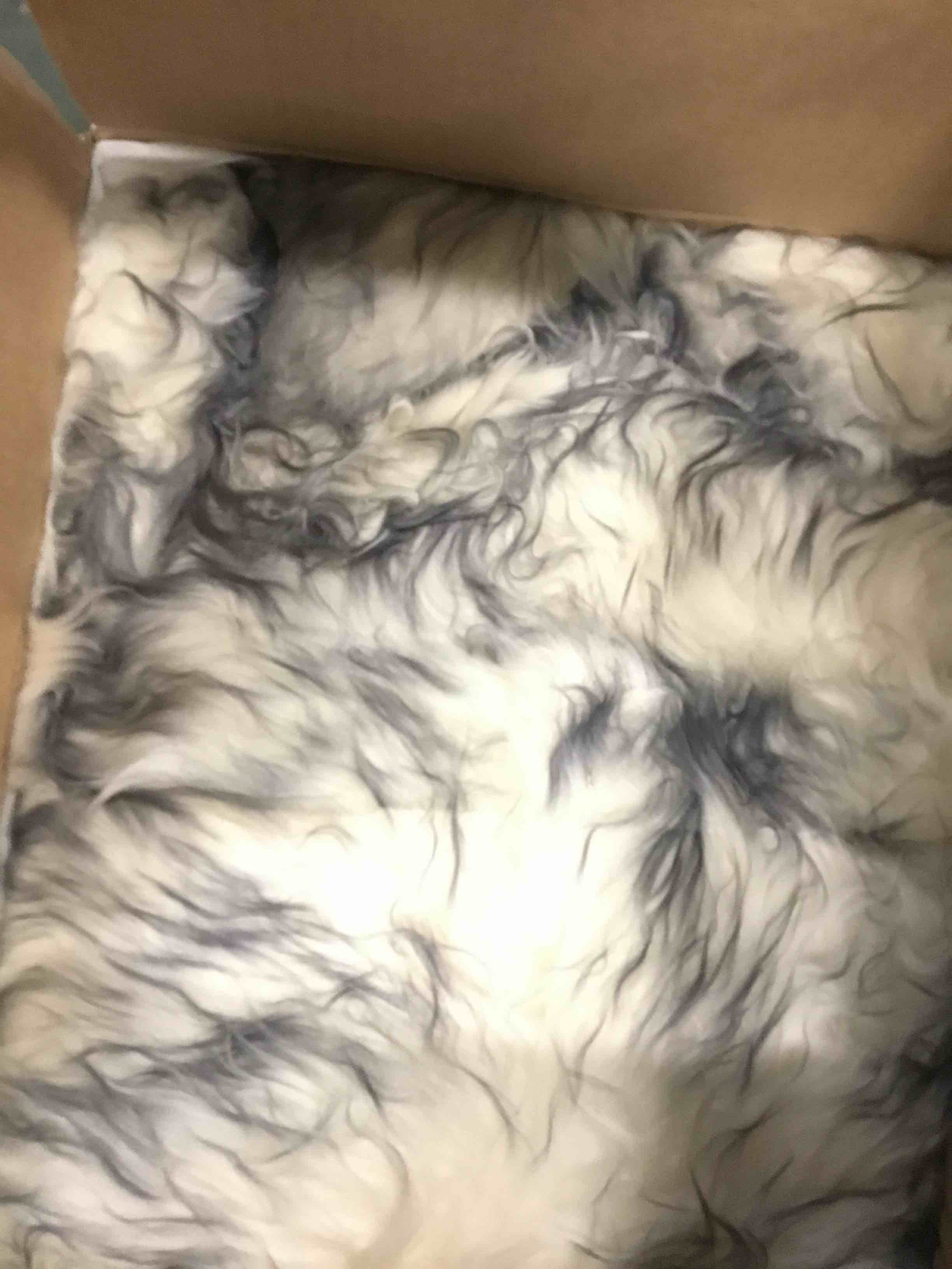https://s3.amazonaws.com/lotting-images-prod/bidfta/PPE0365026_1728084686097.jpeg