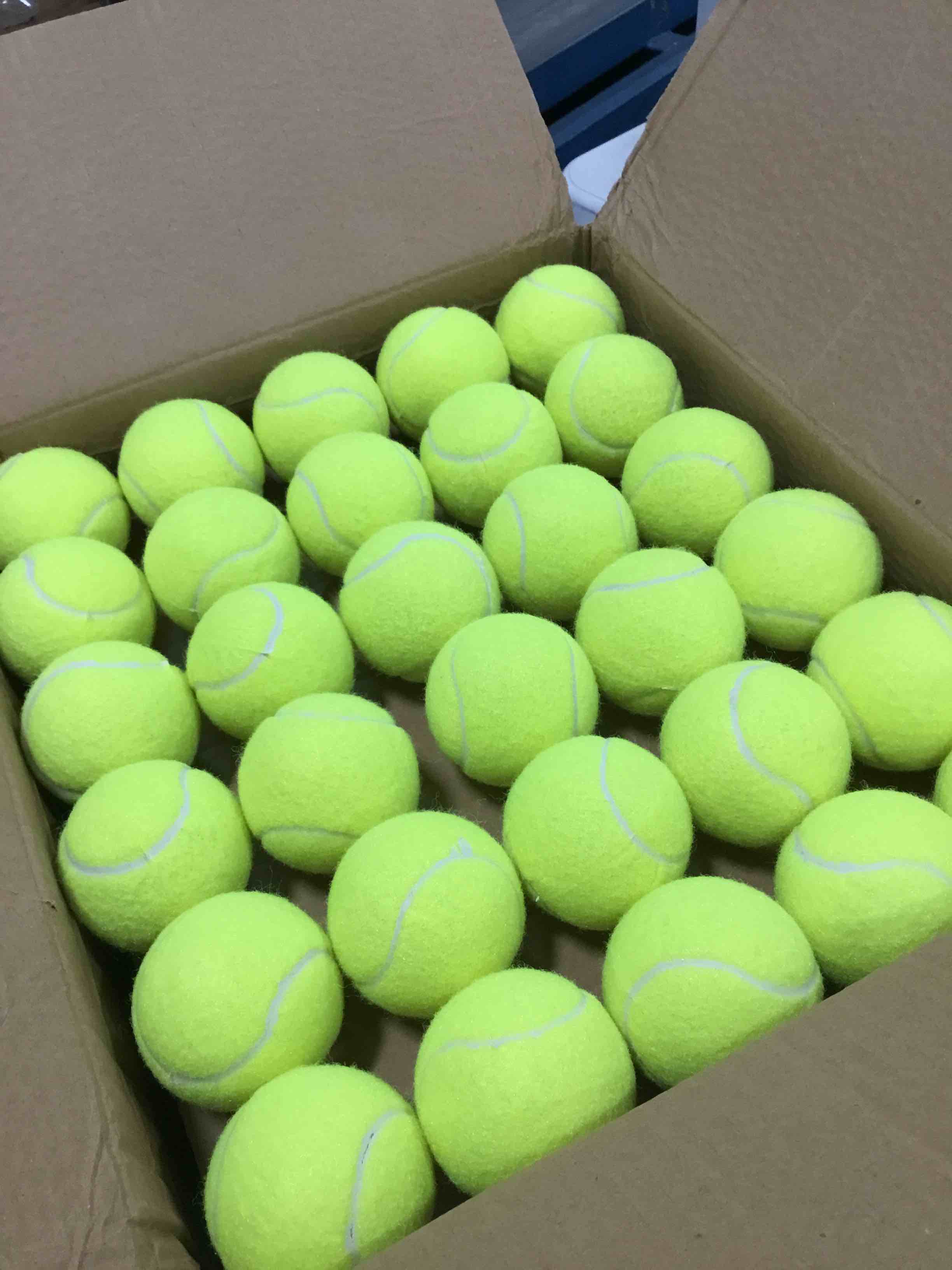 Tennis Balls, 90 Pack Training Tennis Balls Practice Balls, Pet Dog