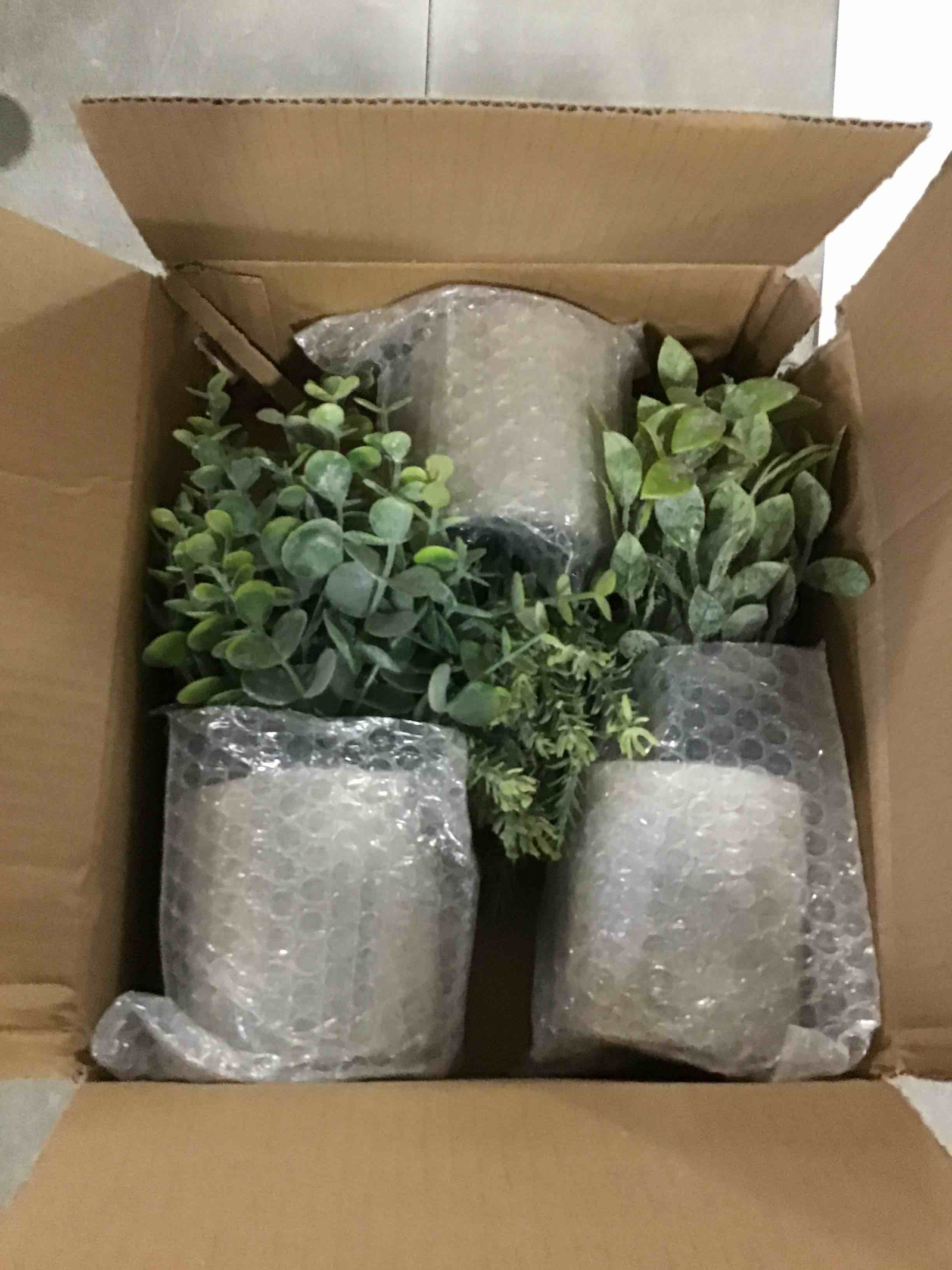 https://s3.amazonaws.com/lotting-images-prod/bidfta/PPE0420281_1728931227305.jpeg