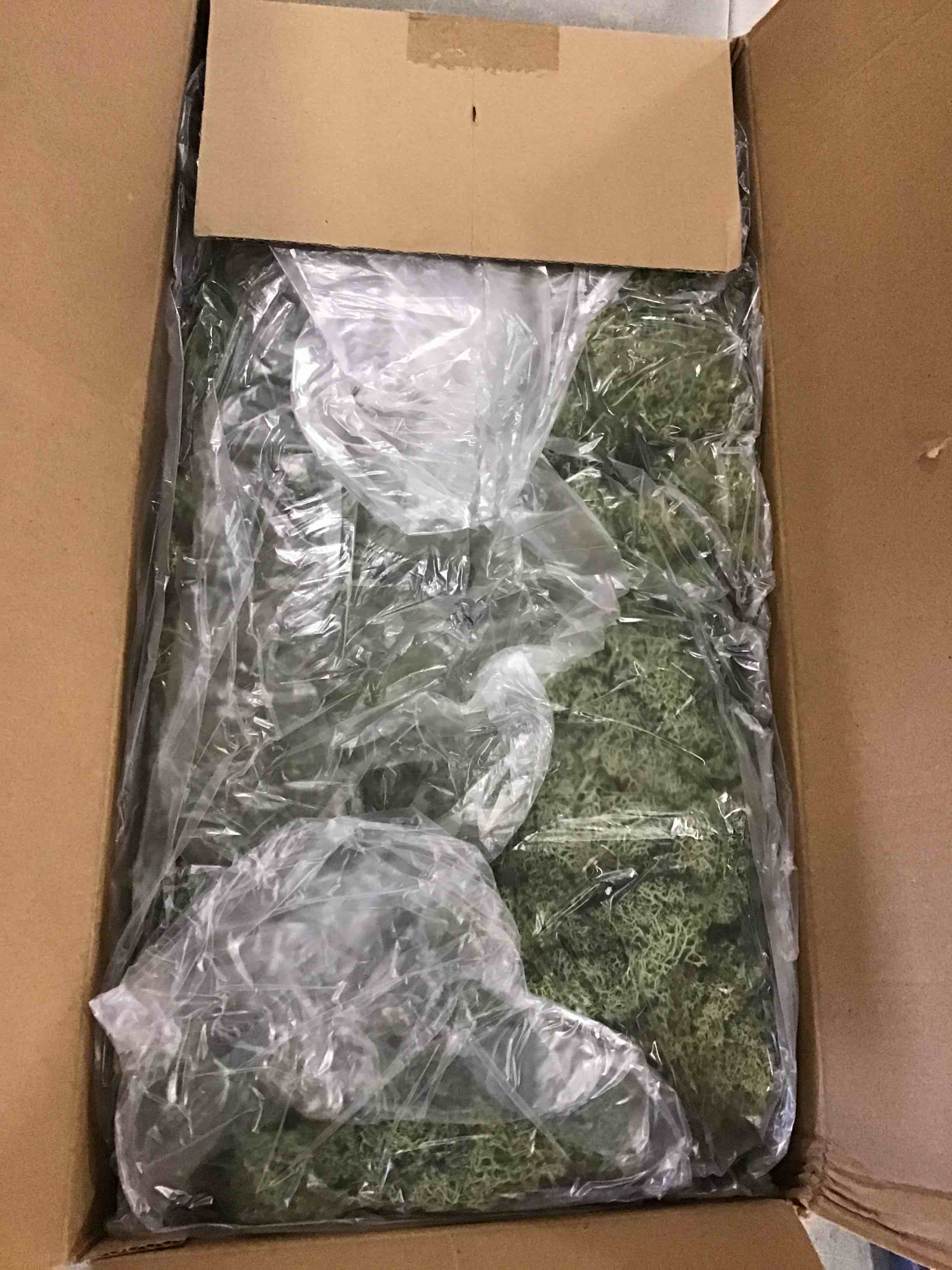 https://s3.amazonaws.com/lotting-images-prod/bidfta/PPE0420542_1729018229835.jpeg