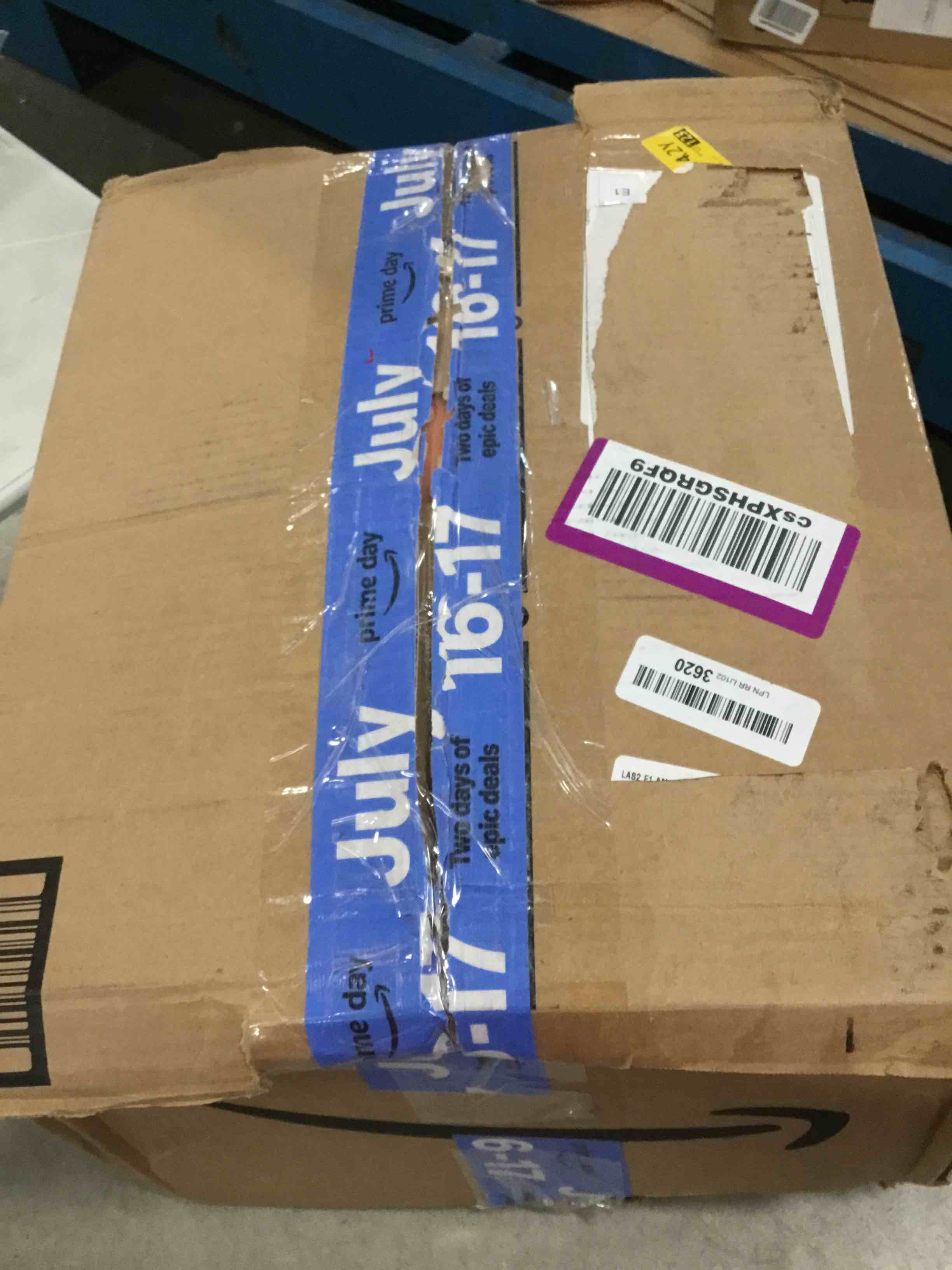 https://s3.amazonaws.com/lotting-images-prod/bidfta/PPE0435330_1728078391716.jpeg