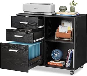 Alday 3 Drawers Mobile Wood File Cabinet
