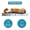 Canine Creations Orthopedic Foam Pillow Pet Bed, 