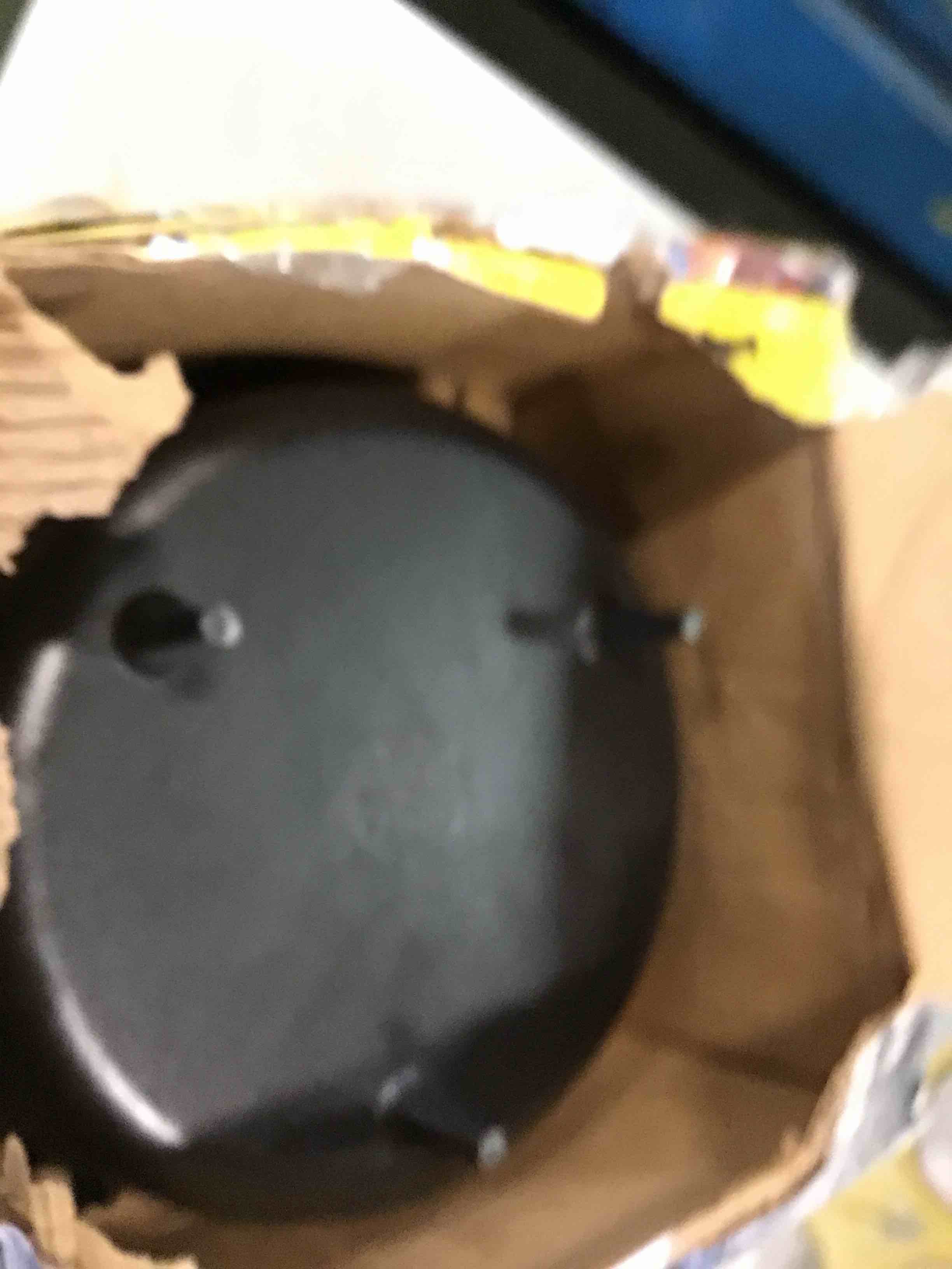https://s3.amazonaws.com/lotting-images-prod/bidfta/PPE0488626_1729799308839.jpeg