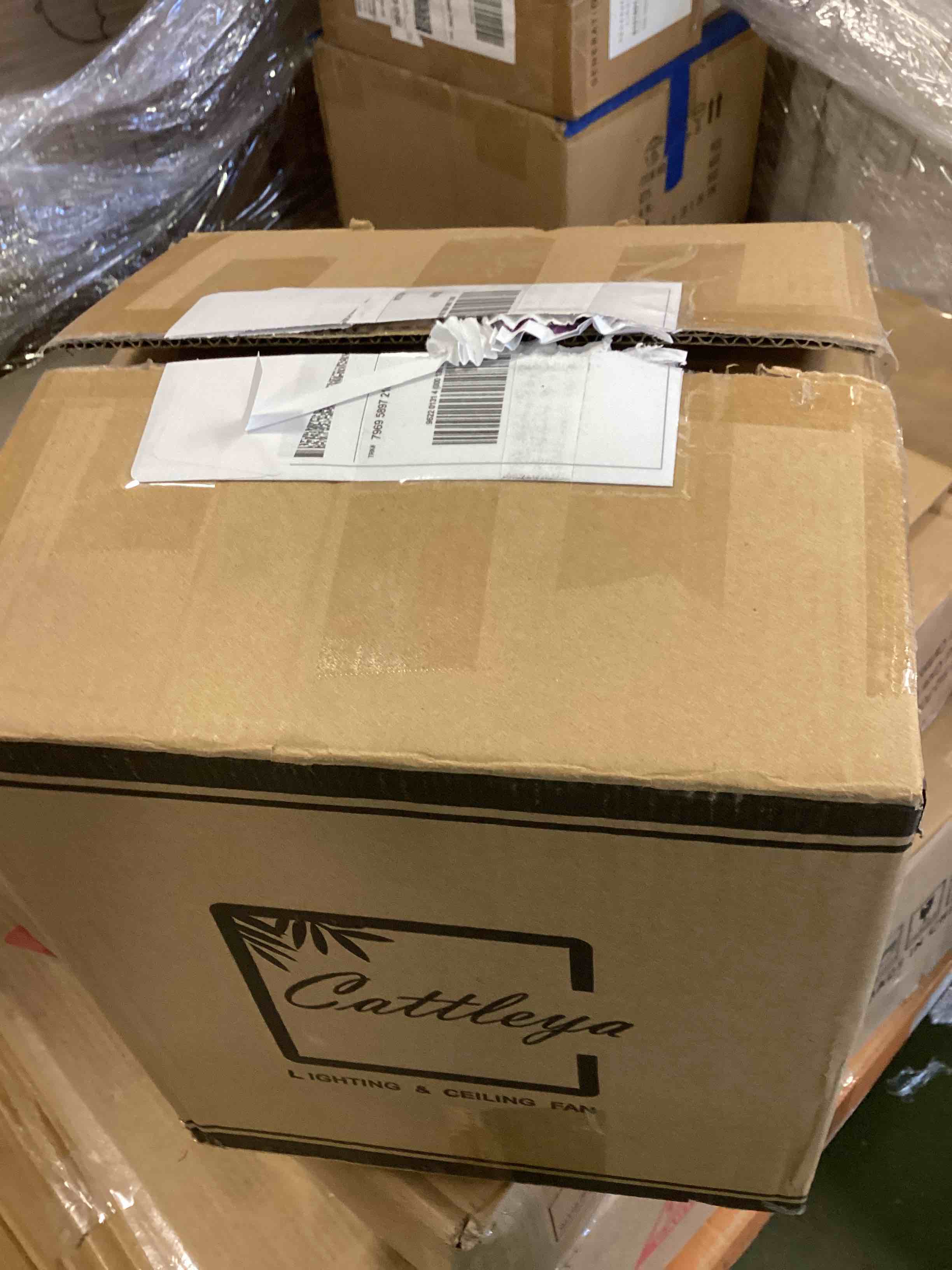 https://s3.amazonaws.com/lotting-images-prod/bidfta/PPE0503832_1731349804750.jpeg
