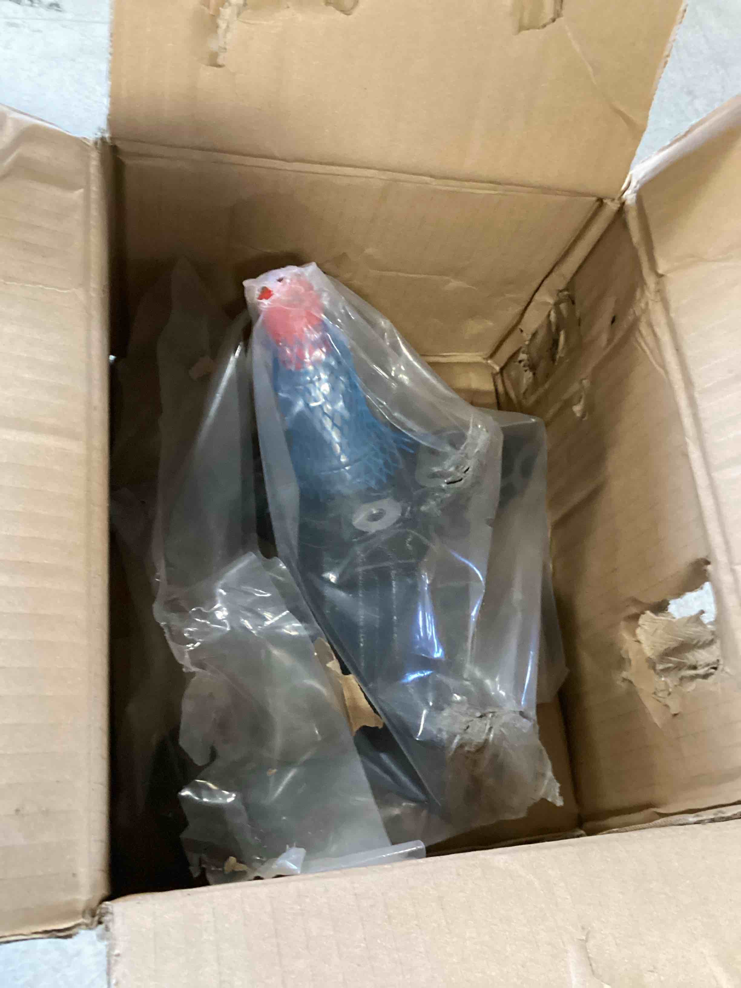 https://s3.amazonaws.com/lotting-images-prod/bidfta/PPE0505230_1729708987835.jpeg
