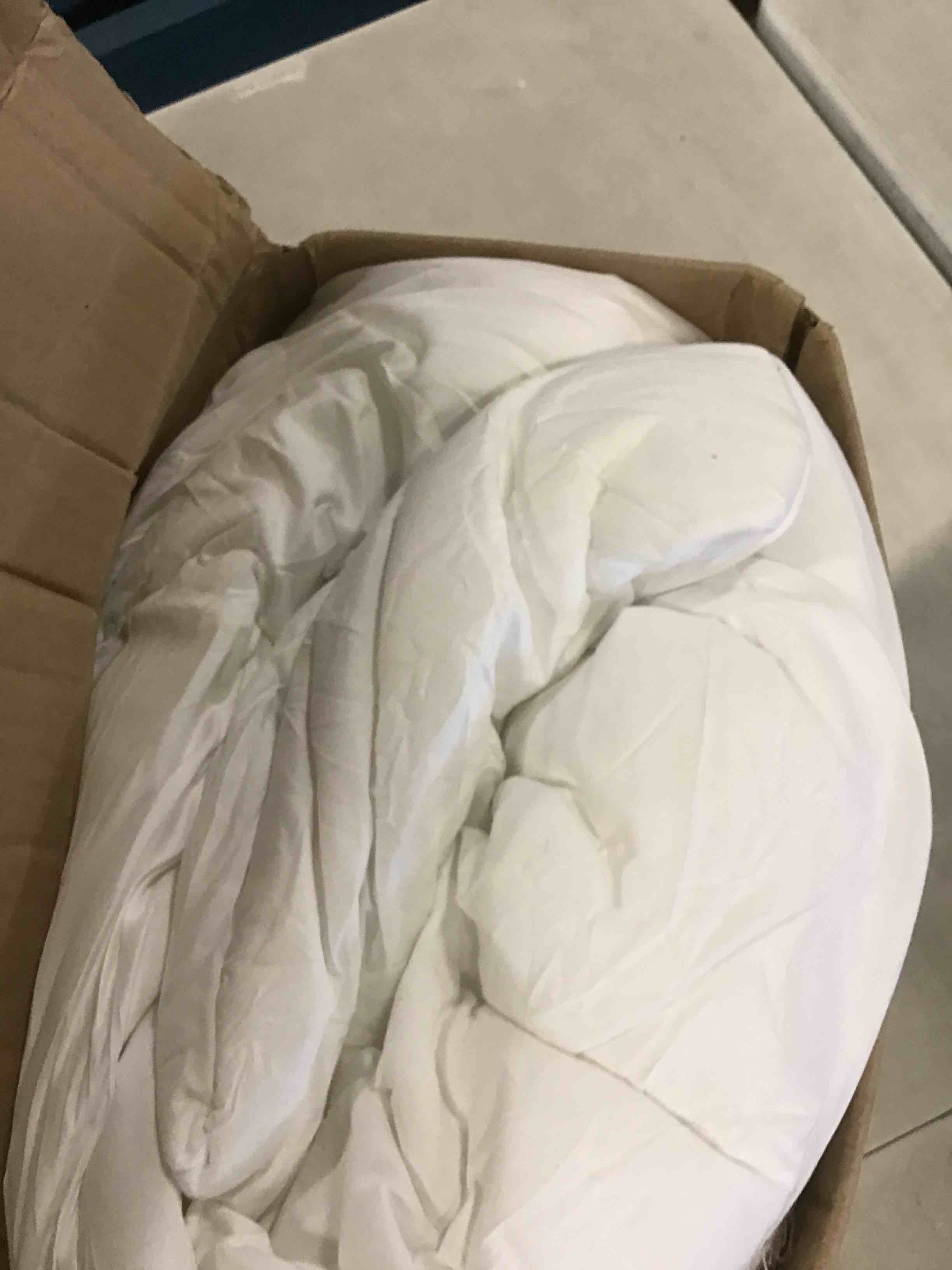 https://s3.amazonaws.com/lotting-images-prod/bidfta/PPE0510292_1729352109832.jpeg
