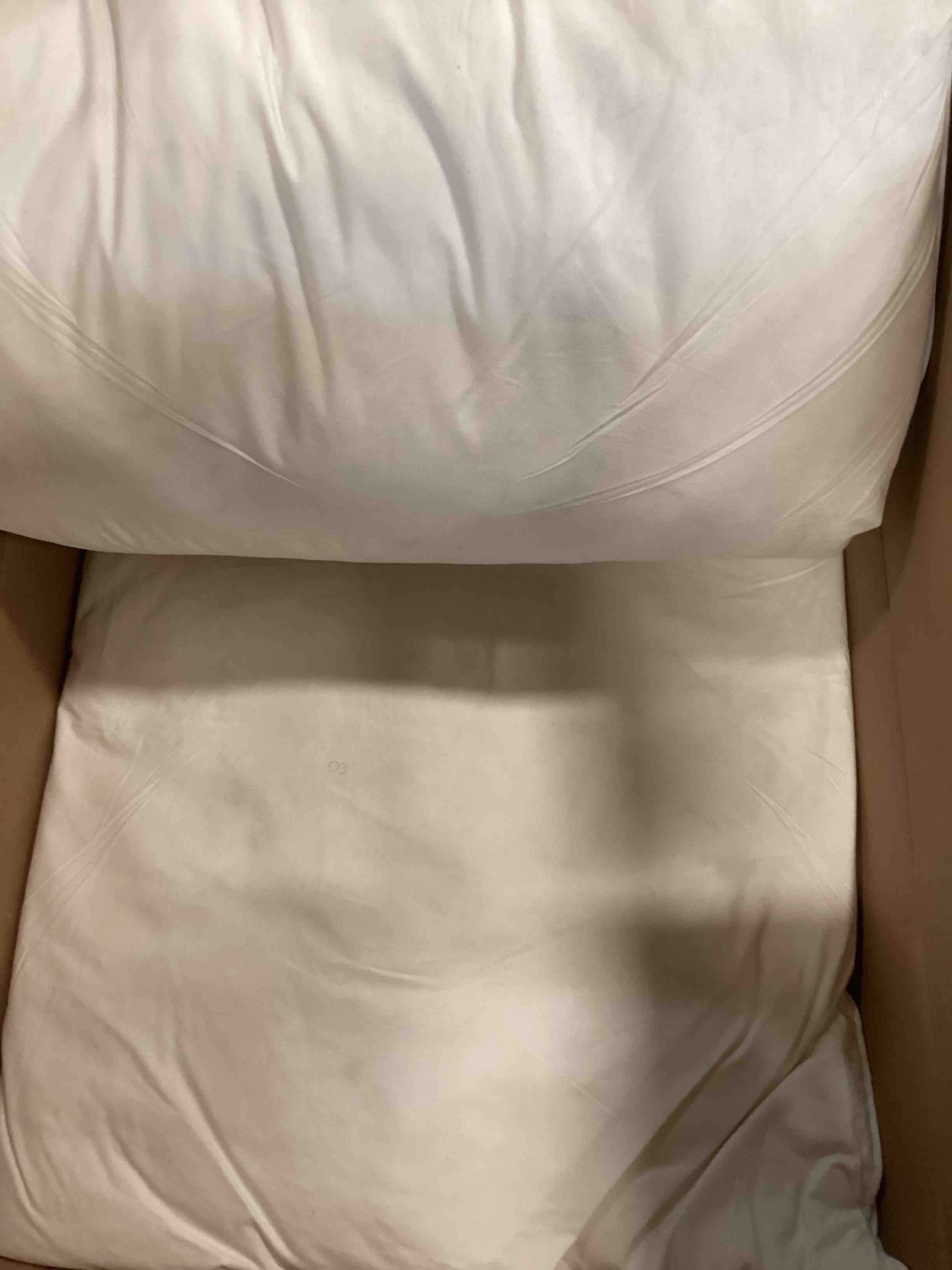 https://s3.amazonaws.com/lotting-images-prod/bidfta/PPE0510659_1729285746484.jpeg