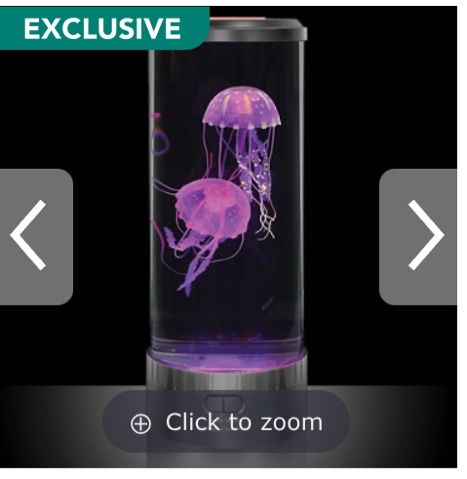 The Best Jellyfish Aquarium