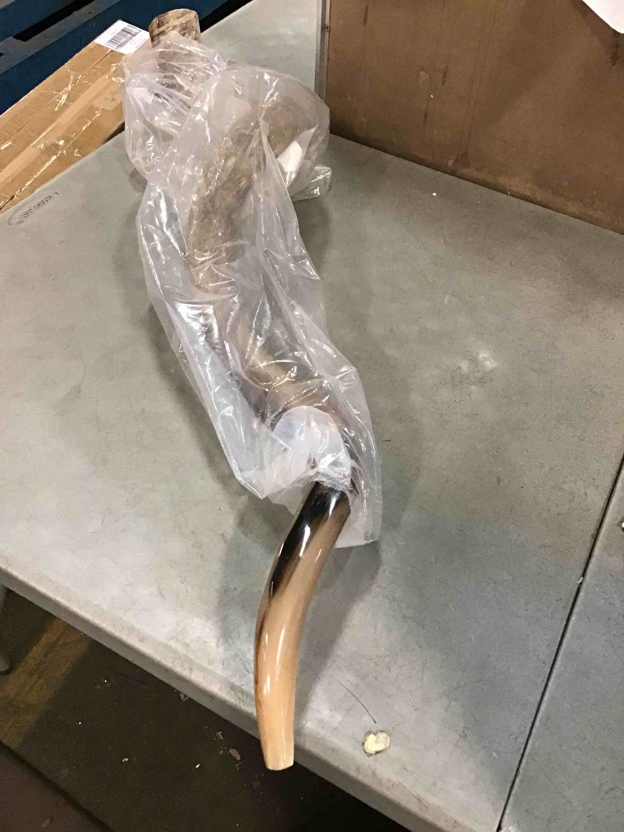 https://s3.amazonaws.com/lotting-images-prod/bidfta/PPE0559078_1730349908323.jpeg