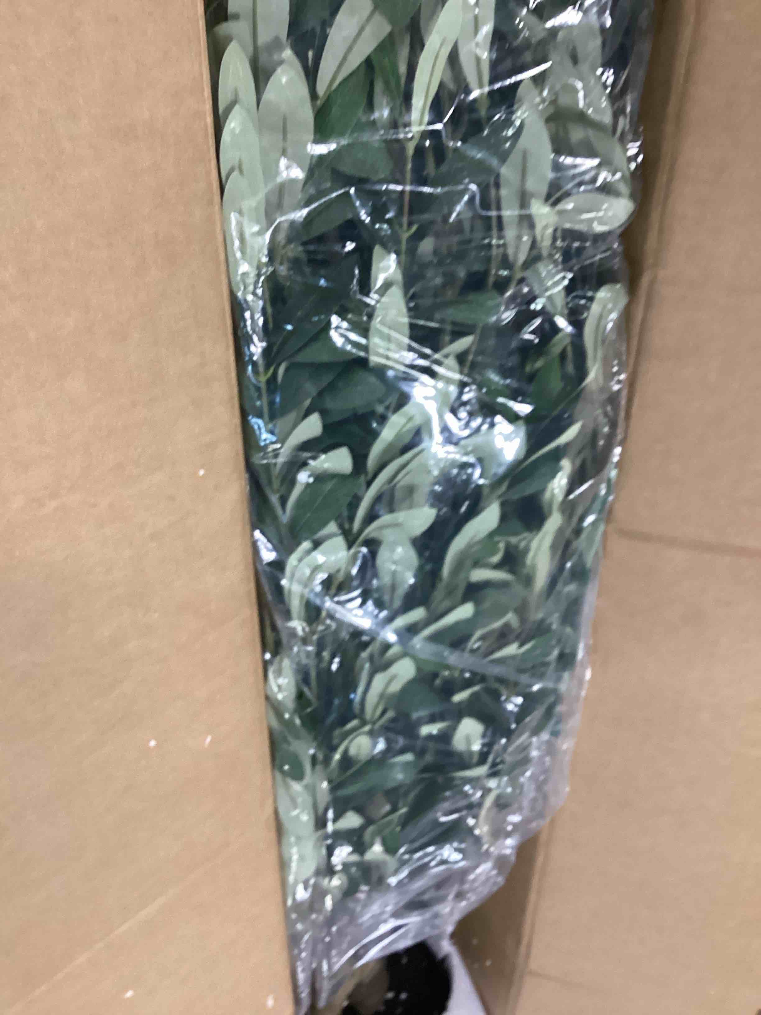 https://s3.amazonaws.com/lotting-images-prod/bidfta/PPE0566765_1731387088368.jpeg