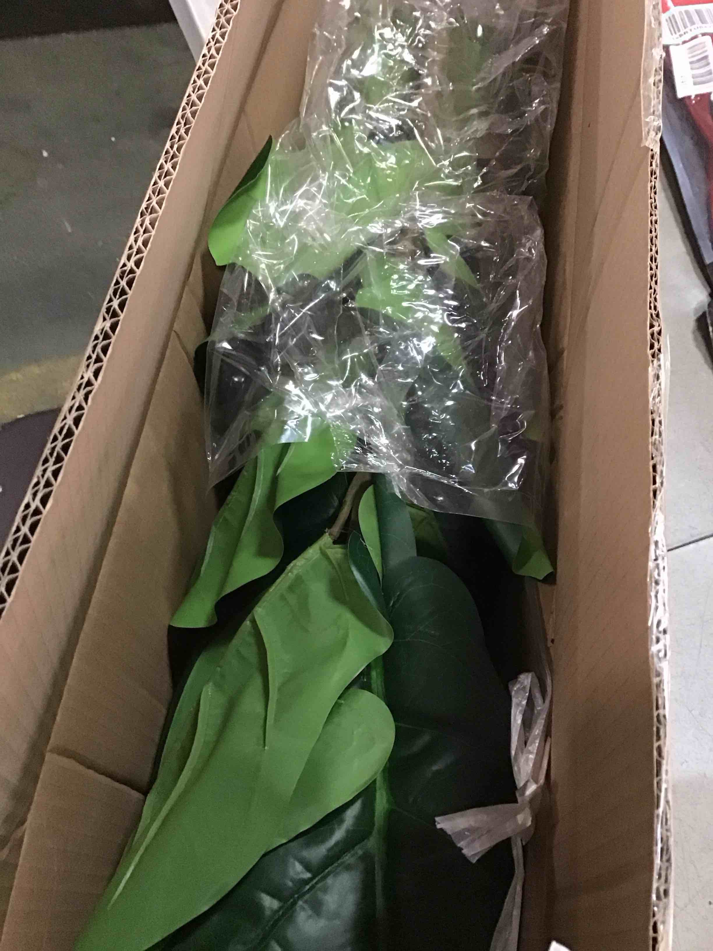 https://s3.amazonaws.com/lotting-images-prod/bidfta/PPE0570824_1732032264964.jpeg
