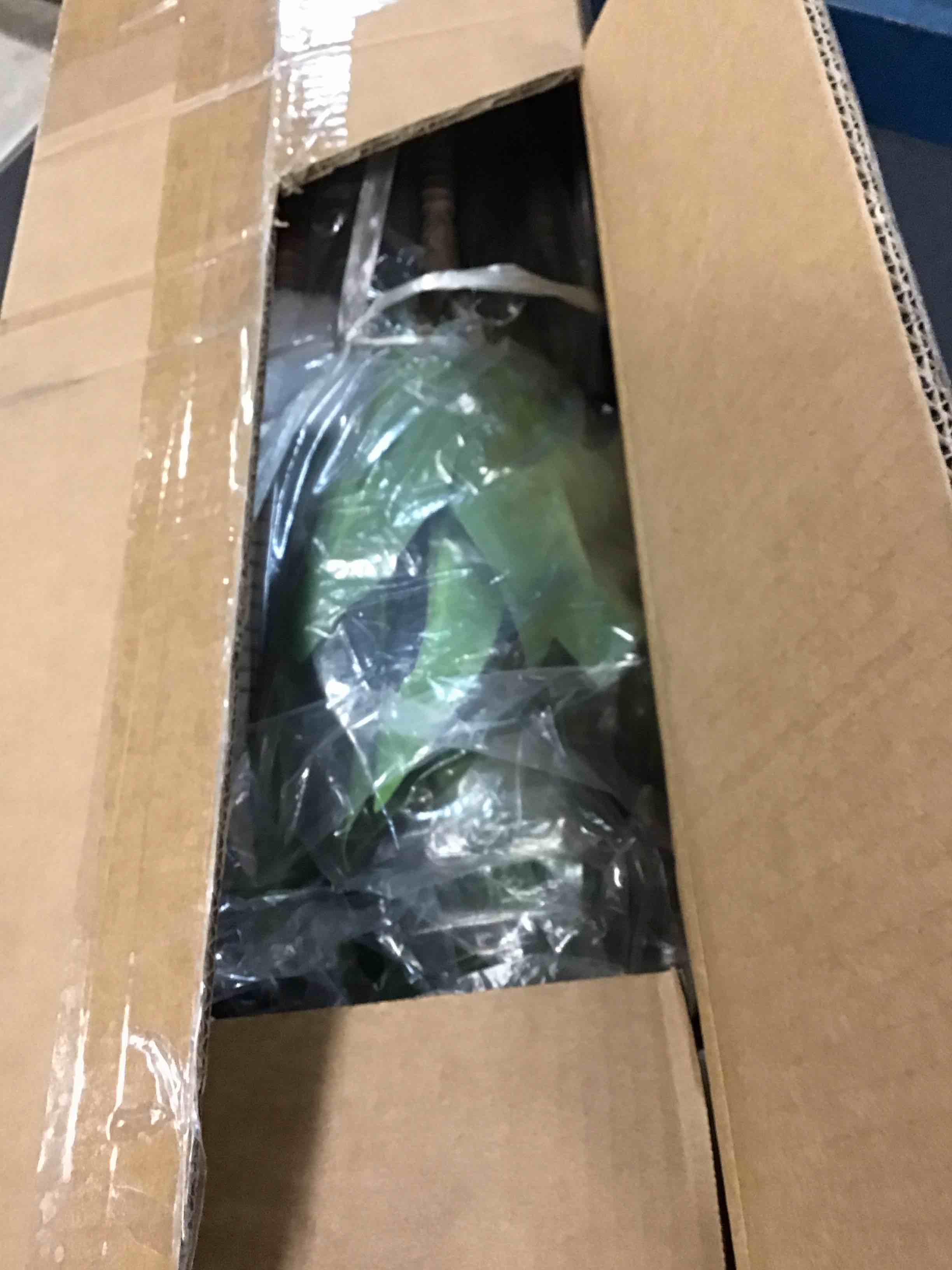 https://s3.amazonaws.com/lotting-images-prod/bidfta/PPE0574187_1733254268222.jpeg