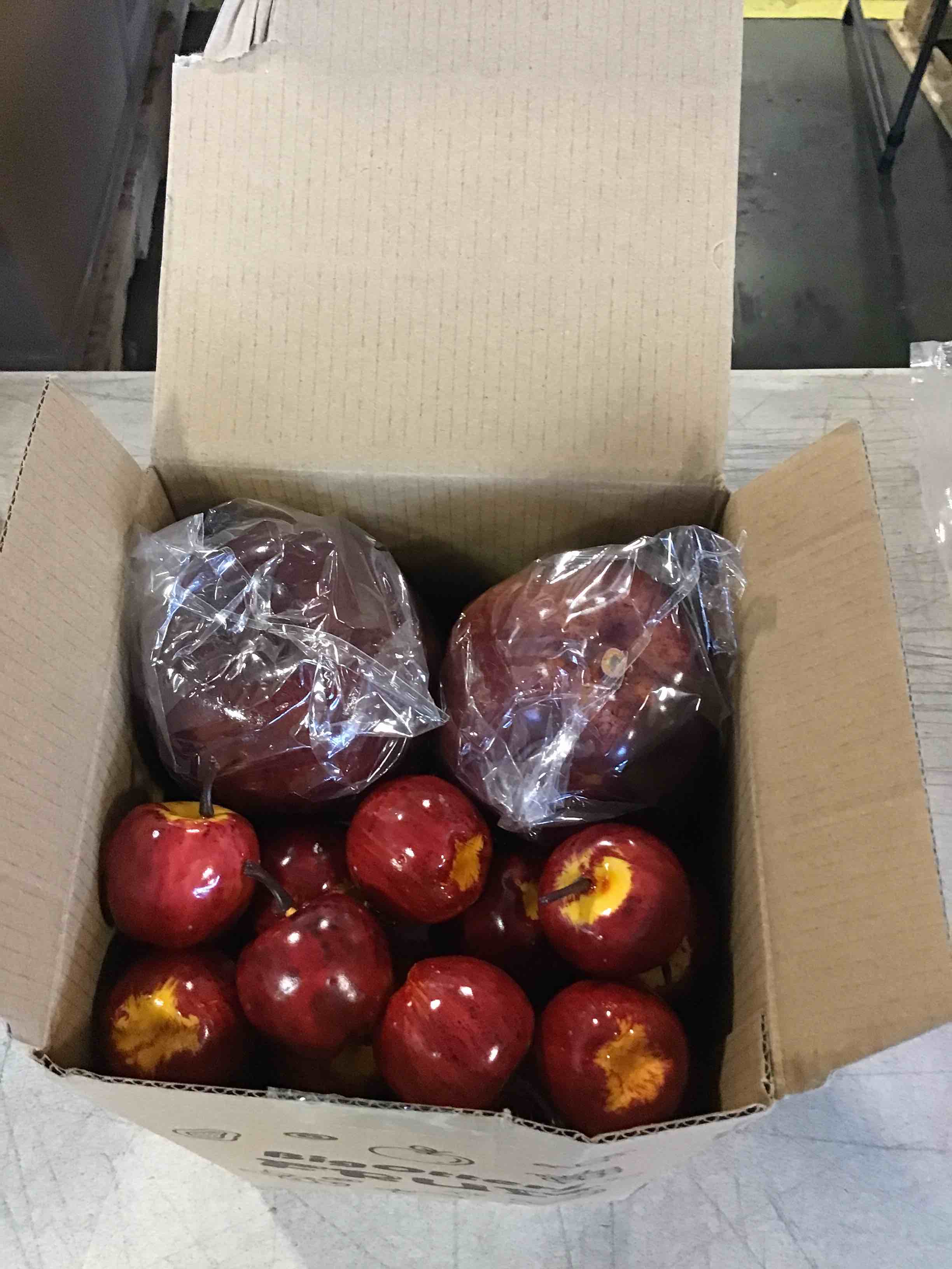 https://s3.amazonaws.com/lotting-images-prod/bidfta/PPE0576323_1732648556786.jpeg