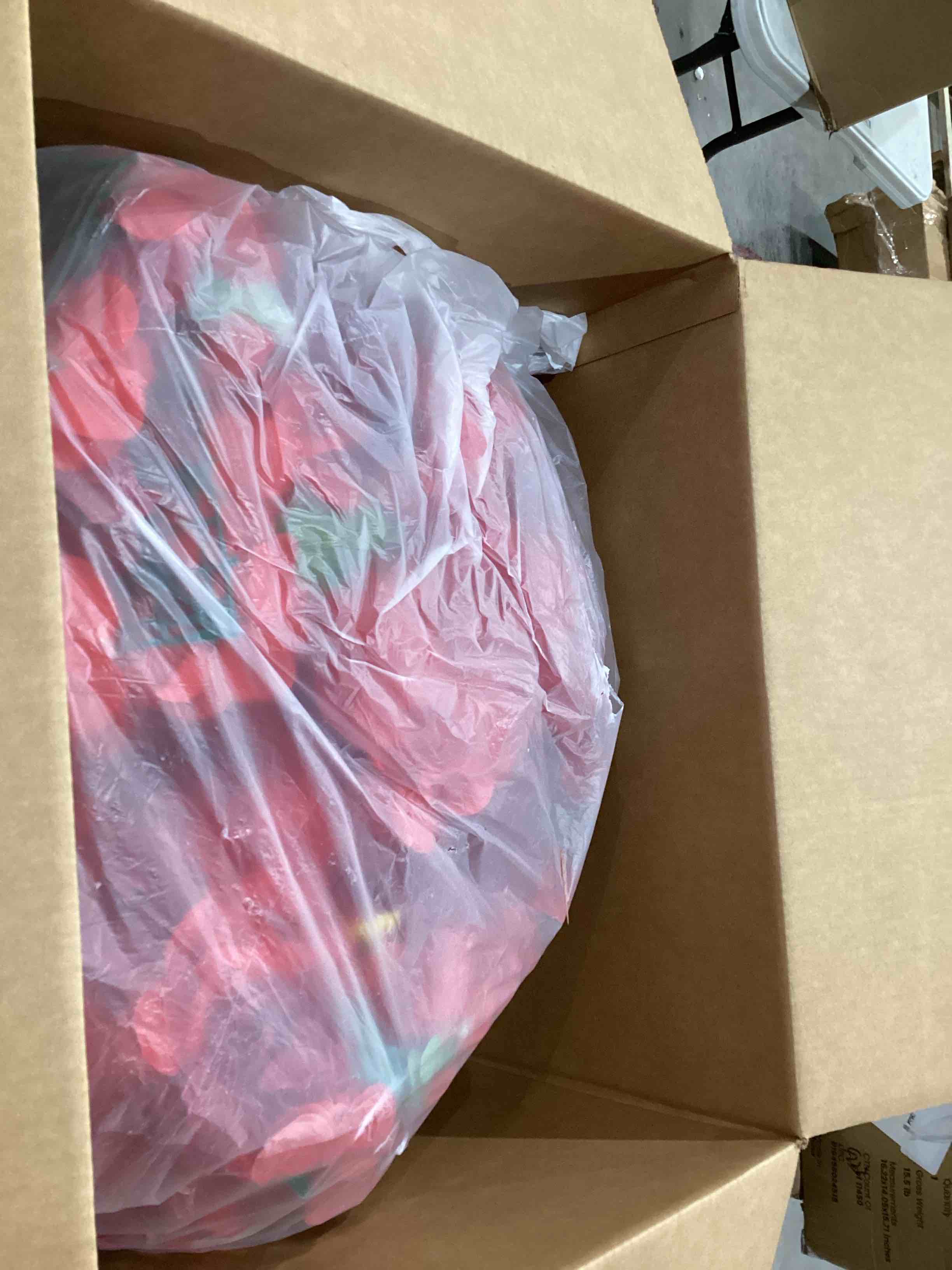https://s3.amazonaws.com/lotting-images-prod/bidfta/PPE0598298_1745321267753.jpeg