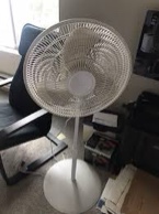 https://s3.amazonaws.com/lotting-images-prod/bidfta/PPE0603296_1736772614729.jpeg