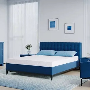 Wayfair Sleep 6 in Memory Foam King Size