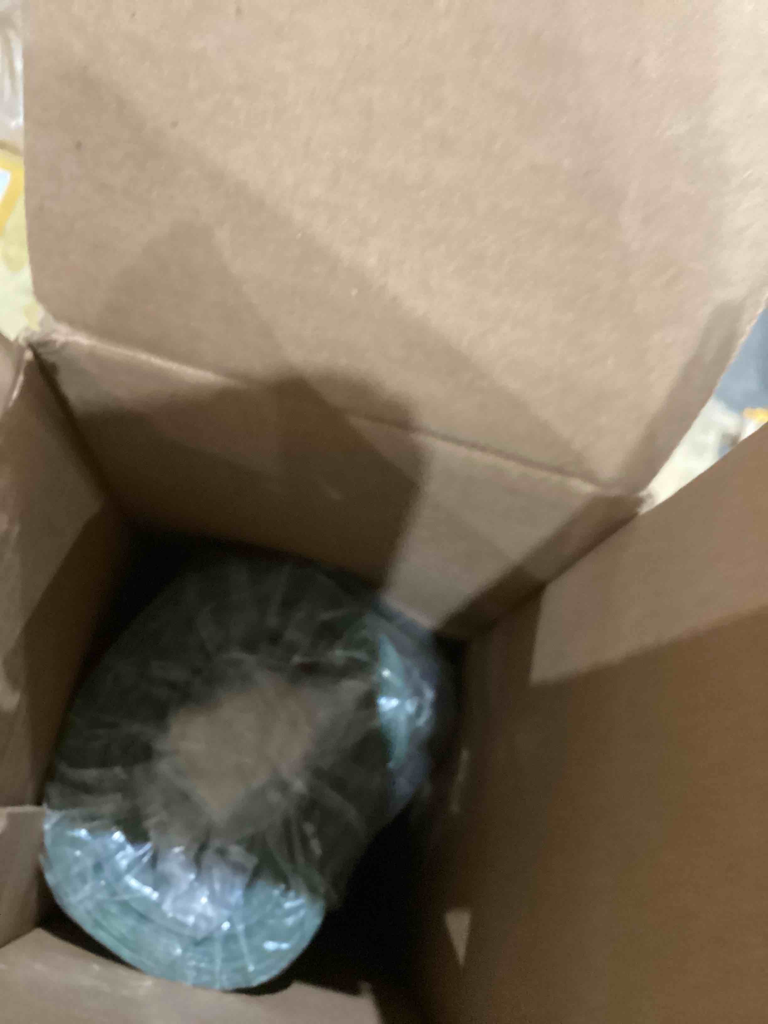 https://s3.amazonaws.com/lotting-images-prod/bidfta/PPE0615868_1738697158293.jpeg