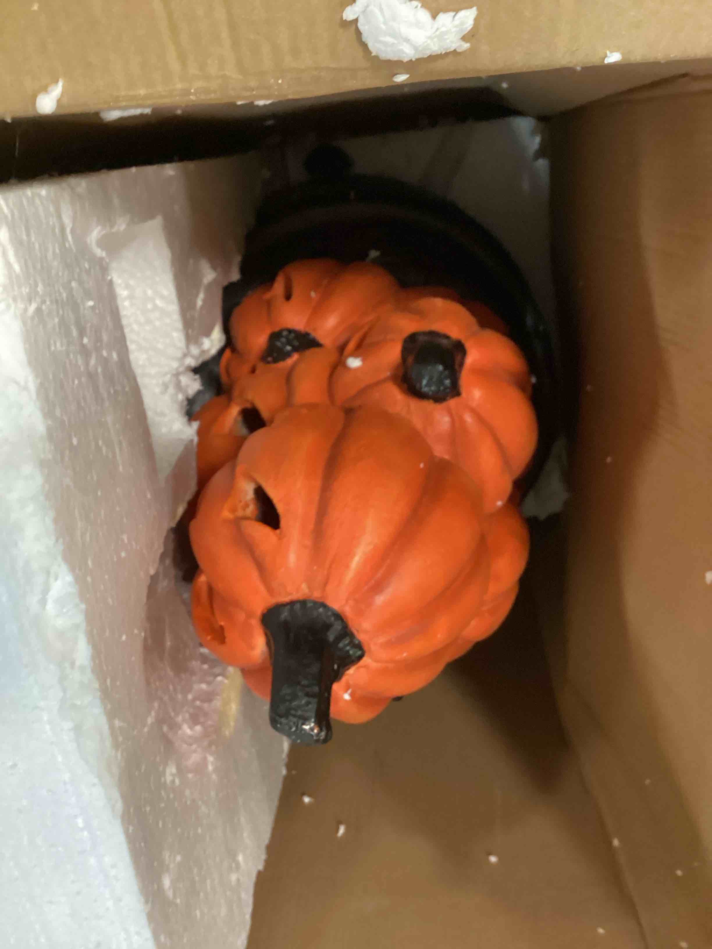 https://s3.amazonaws.com/lotting-images-prod/bidfta/PPE0630053_1731651635309.jpeg