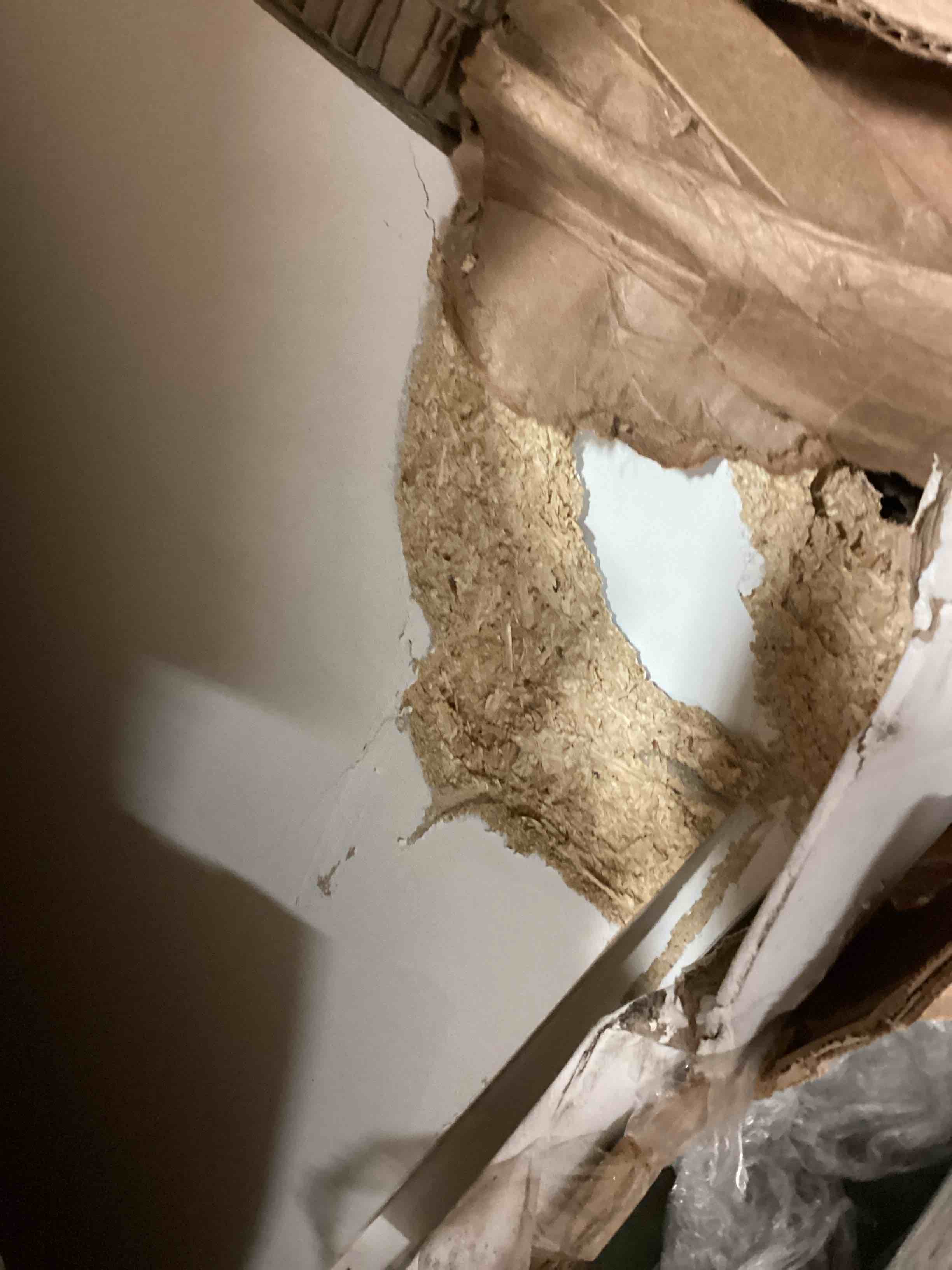 https://s3.amazonaws.com/lotting-images-prod/bidfta/PPE0637353_1730922416705.jpeg