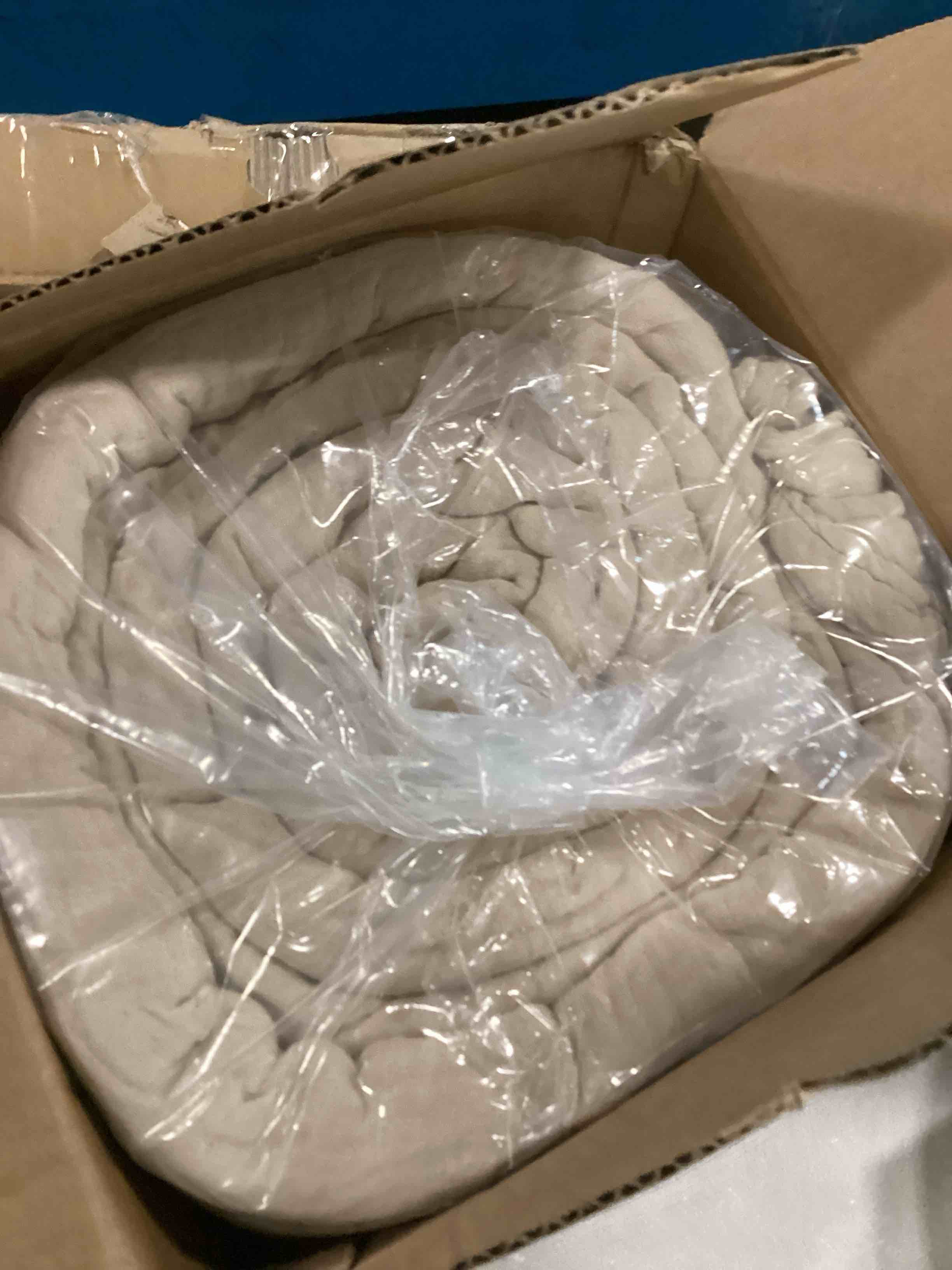 https://s3.amazonaws.com/lotting-images-prod/bidfta/PPE0638451_1730839081703.jpeg