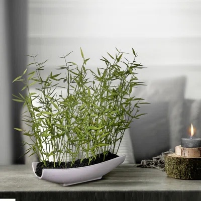 15'' Faux Bamboo Plant in Ceramic Pot