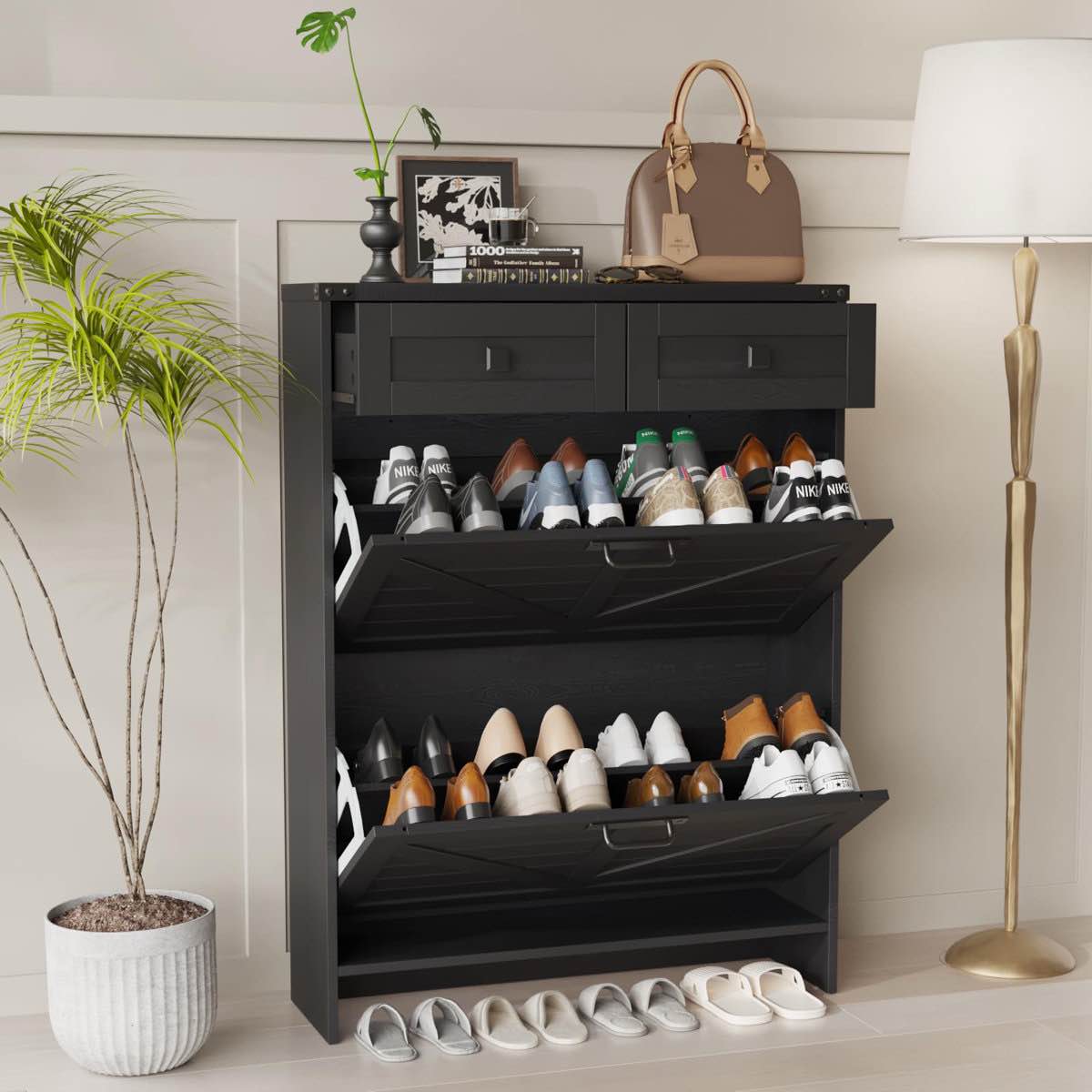 Shoe Storage Cabinet