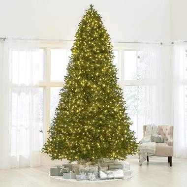 The World's Best Prelit LED Noble Fir