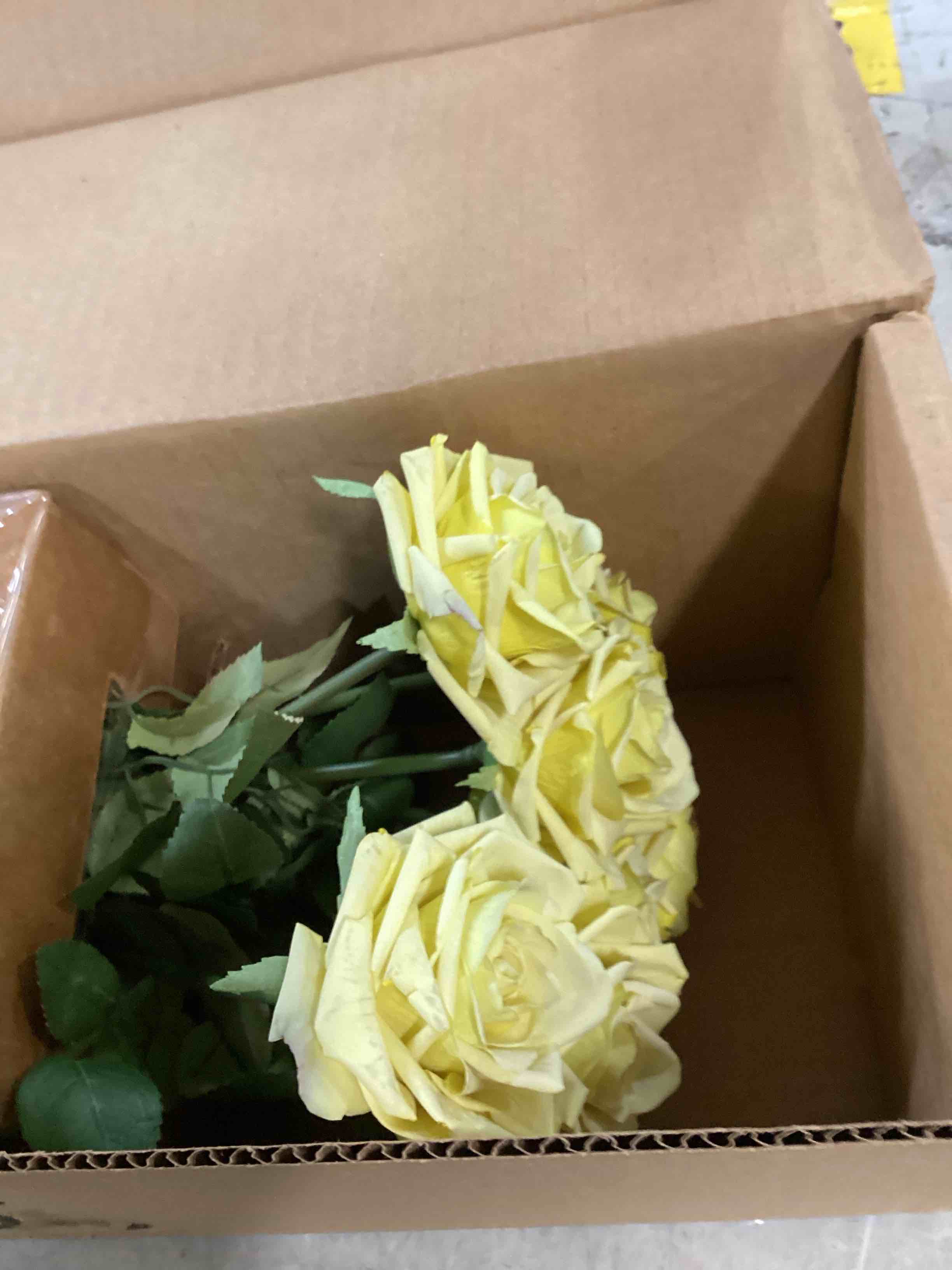 https://s3.amazonaws.com/lotting-images-prod/bidfta/PPE1311294_1746468031545.jpeg