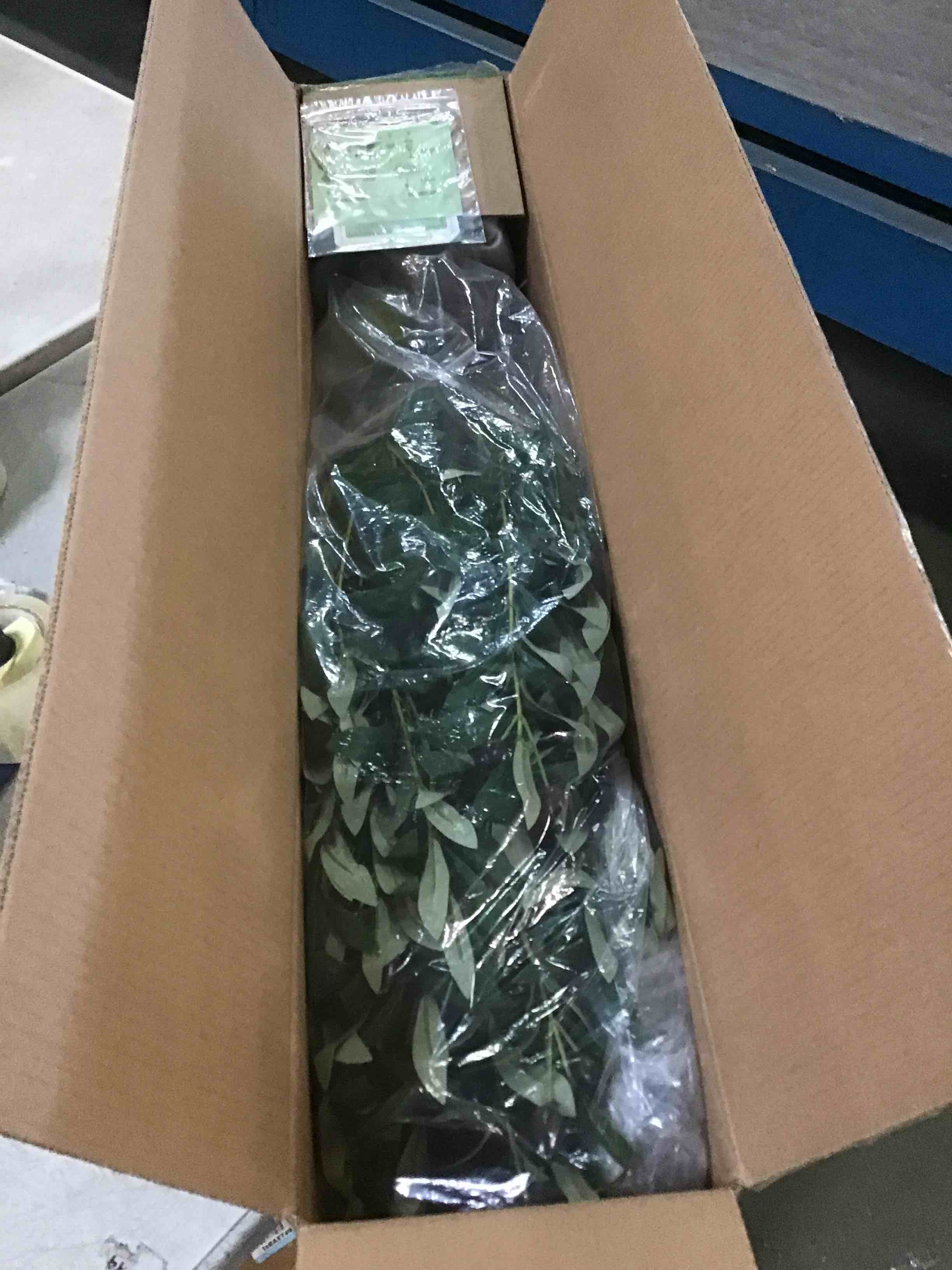 https://s3.amazonaws.com/lotting-images-prod/bidfta/PPE1336622_1741967241927.jpeg