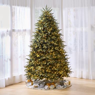 the world's best prelit blue spruce