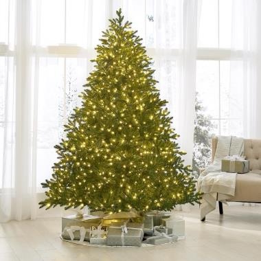 The World's Best Prelit Noble Fir (Incandescent Lights
