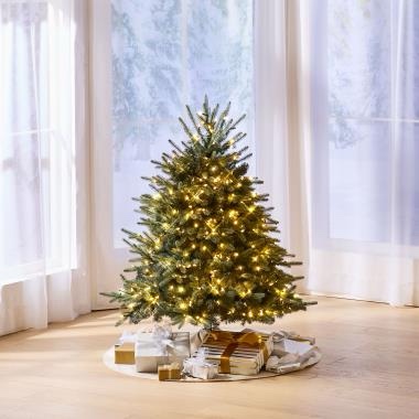 the world's best prelit blue spruce