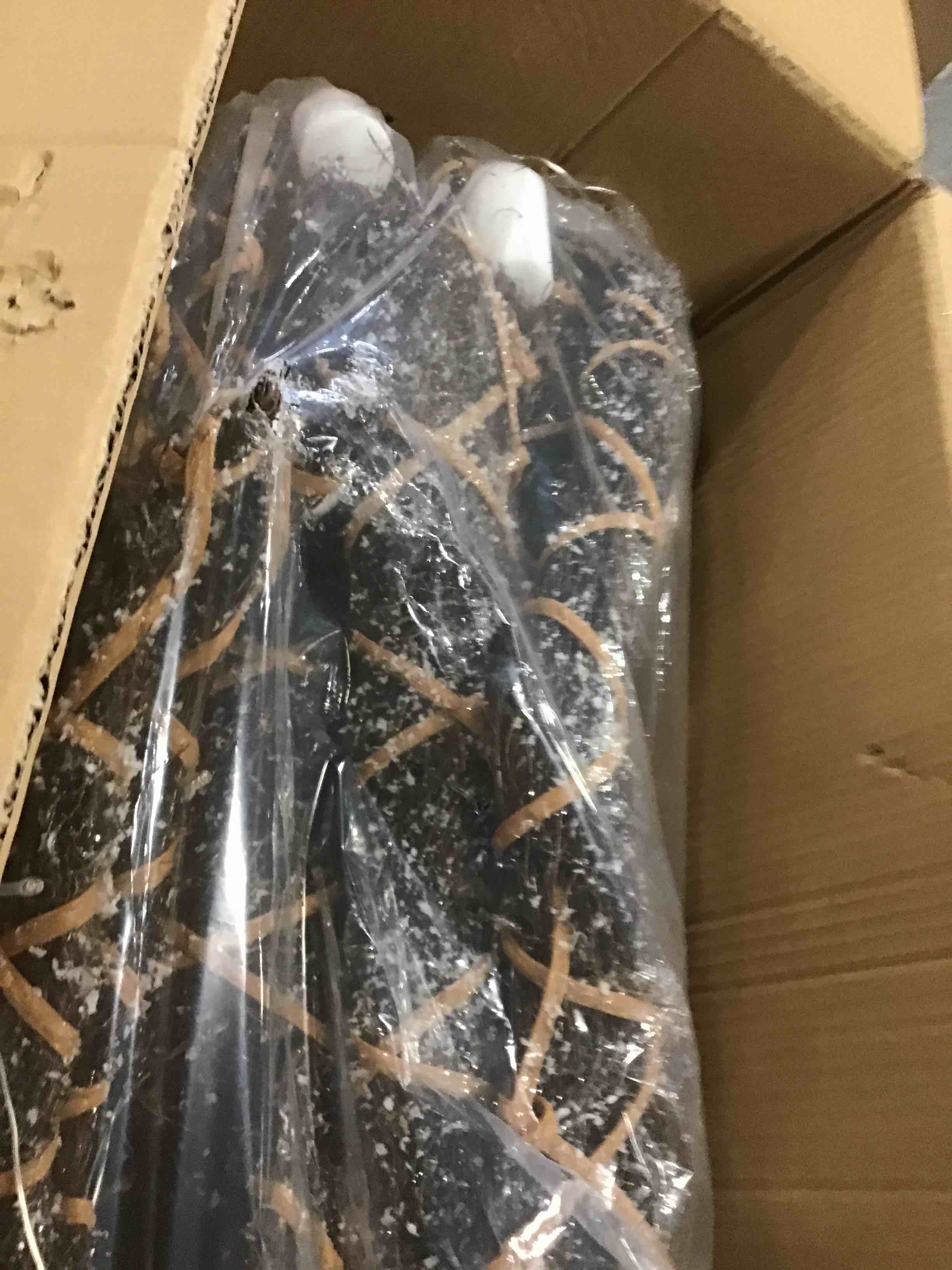 https://s3.amazonaws.com/lotting-images-prod/bidfta/PPE1354578_1741020167167.jpeg