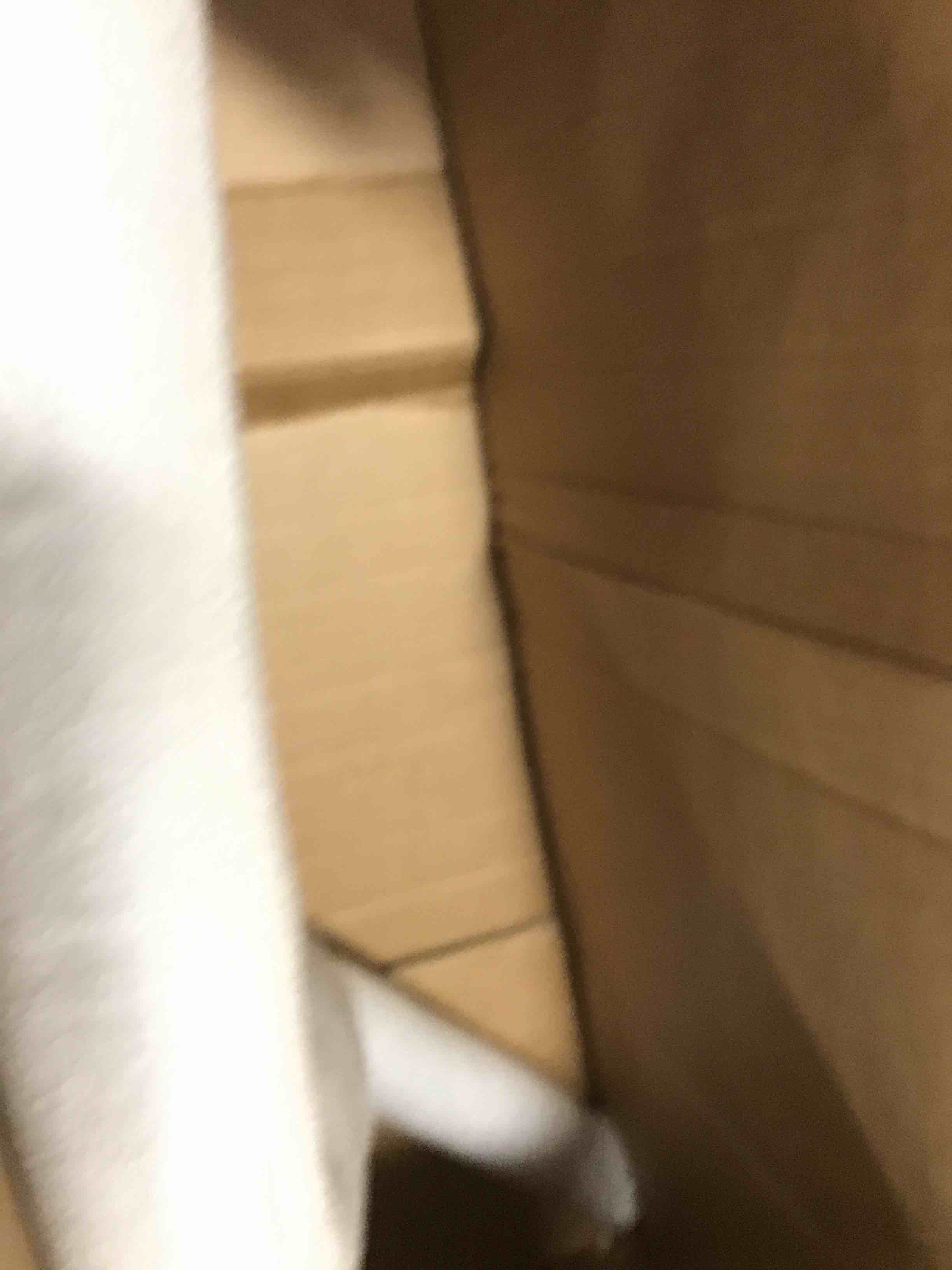 https://s3.amazonaws.com/lotting-images-prod/bidfta/PPE1354883_1741097070635.jpeg