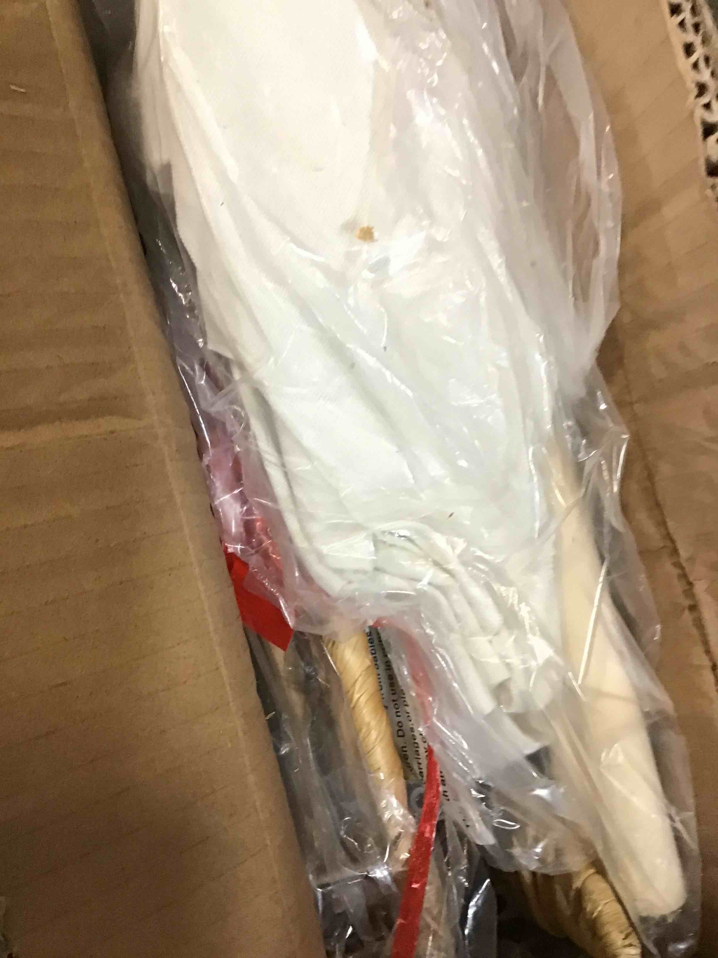 https://s3.amazonaws.com/lotting-images-prod/bidfta/PPE1358471_1741975277902.jpeg