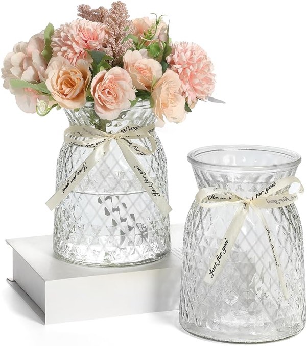 *incomplete* SOJOCK 2PACK Glass Flower Vases
