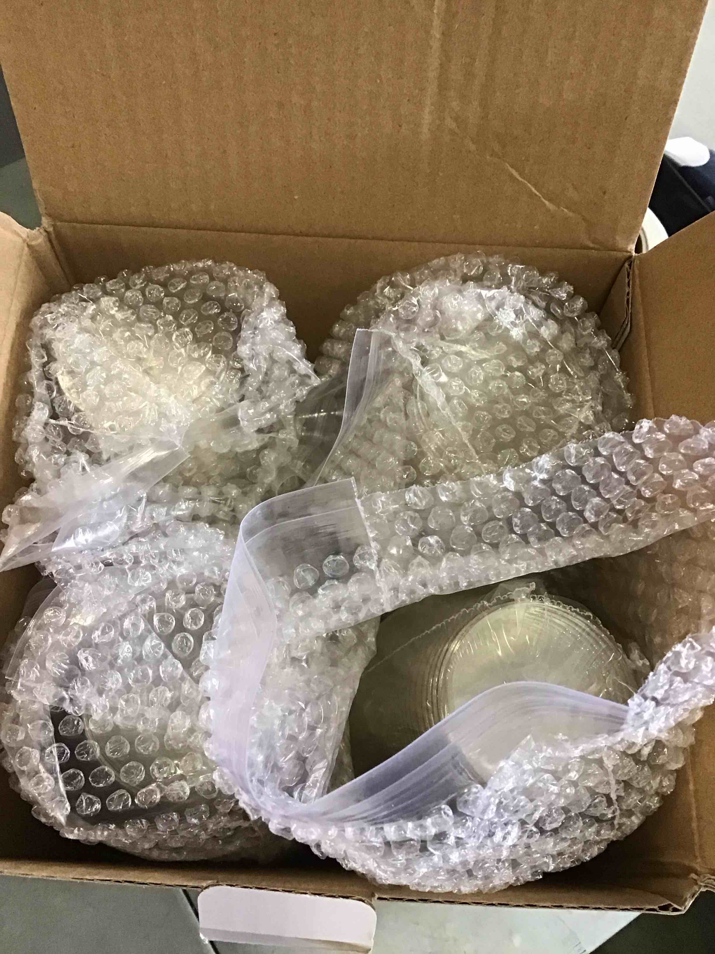 https://s3.amazonaws.com/lotting-images-prod/bidfta/PPE1431523_1744920768737.jpeg