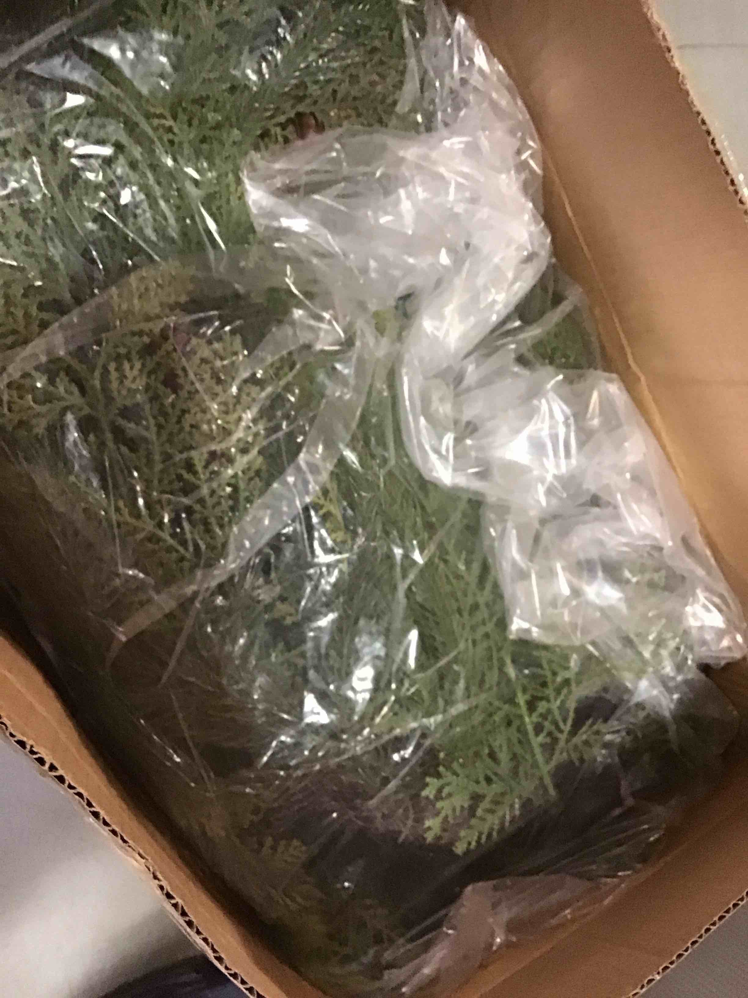 https://s3.amazonaws.com/lotting-images-prod/bidfta/PPE1431545_1744980356513.jpeg