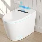 Smart Toilet Elongated Modern Bidet Toilet with Auto/Blackout Flush, Heated Seat, Warm Wash, Dryer