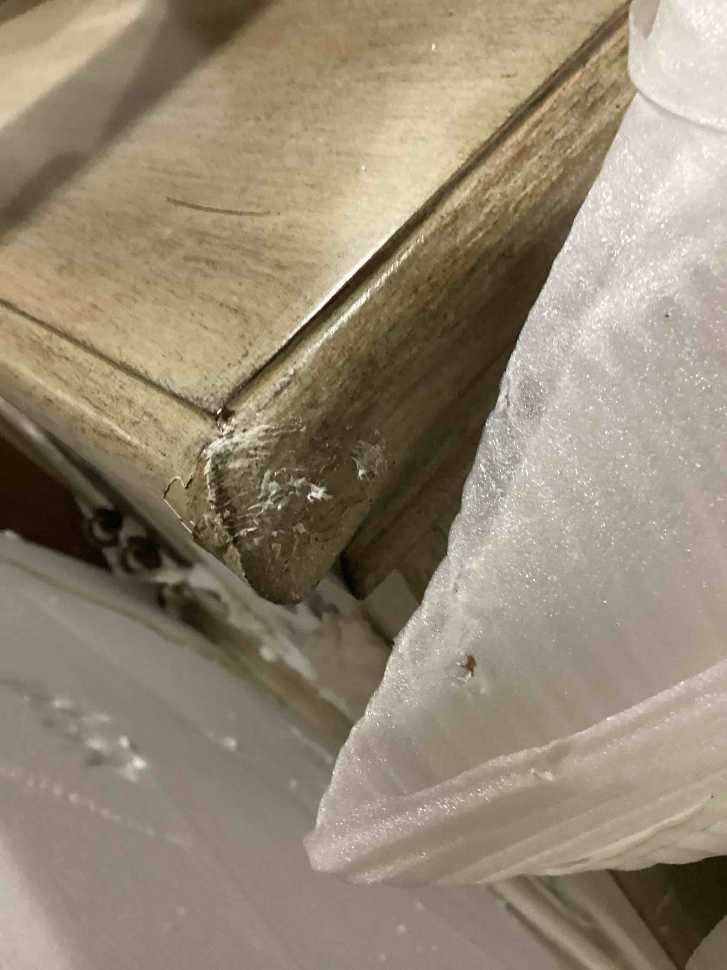 https://s3.amazonaws.com/lotting-images-prod/bidfta/PPE1440529_1744902142657.jpeg