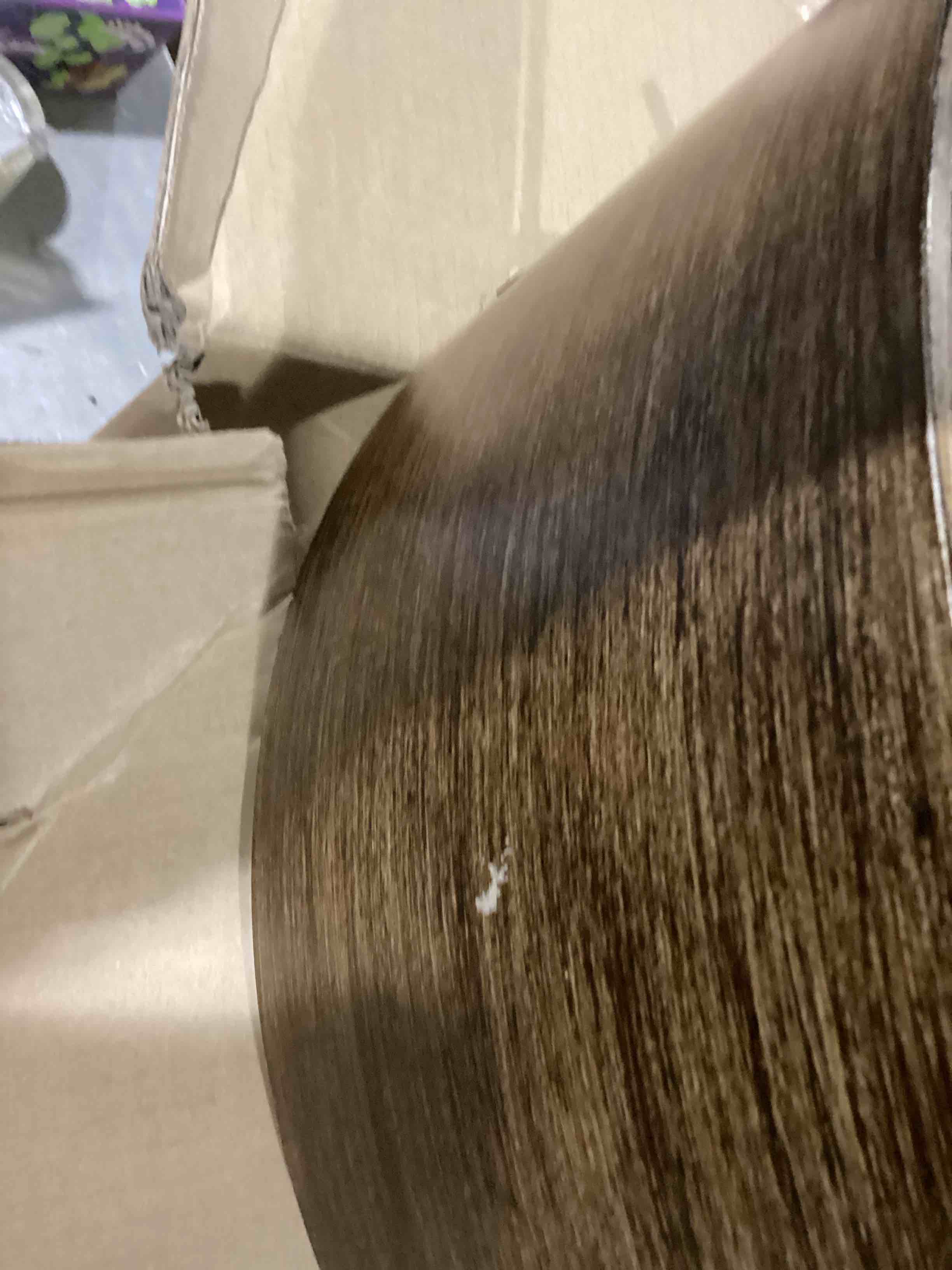 https://s3.amazonaws.com/lotting-images-prod/bidfta/PPE1440788_1745407501442.jpeg