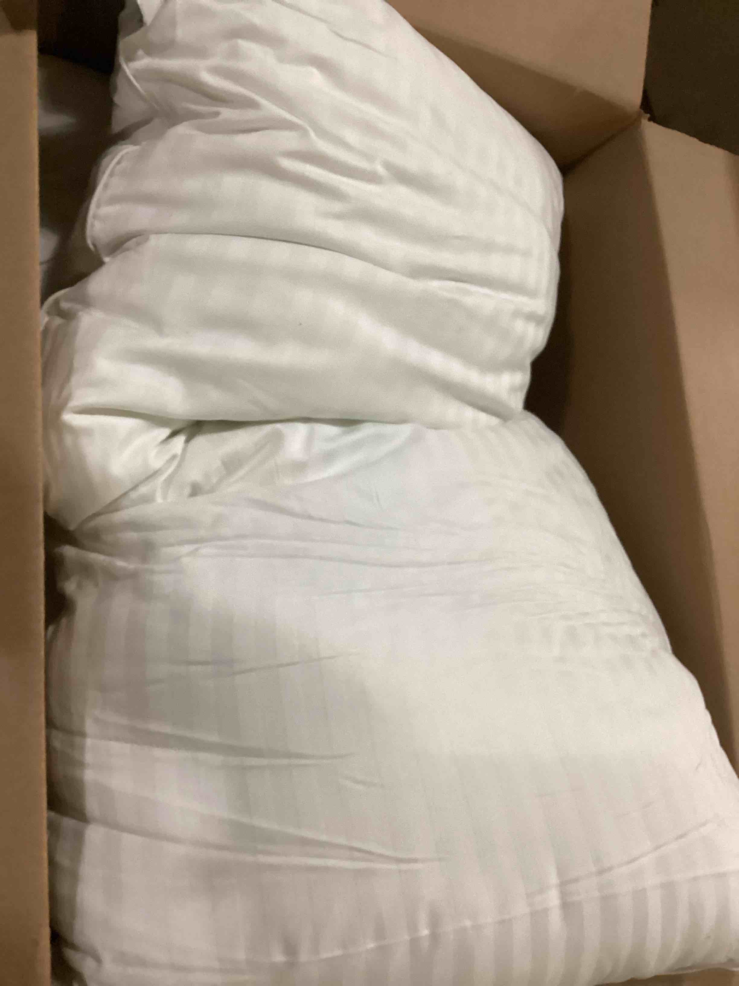 https://s3.amazonaws.com/lotting-images-prod/bidfta/PPE1452359_1741027642776.jpeg